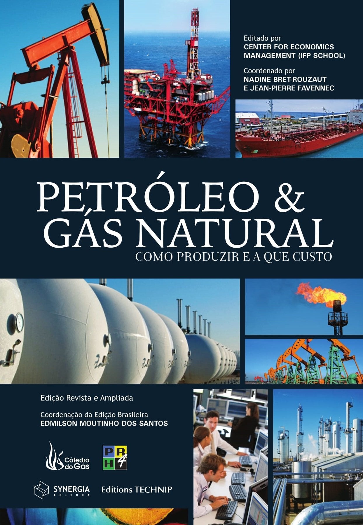 Petróleo e Gás Natural. Como Produzir e a que Custo Books