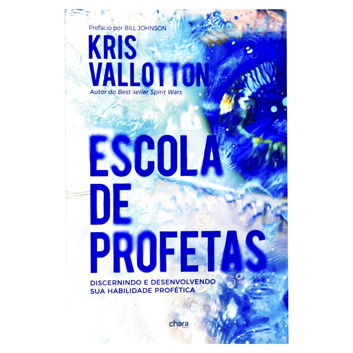 ESCOLA DE PROFETAS TREINAMENTO AVANÇADO PARA O MINISTERIO PROFETICO Books