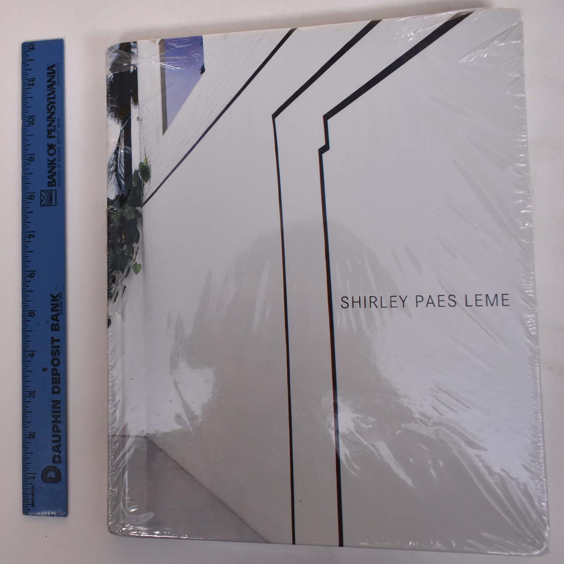 shirley paes leme tadeu chiarelli Books