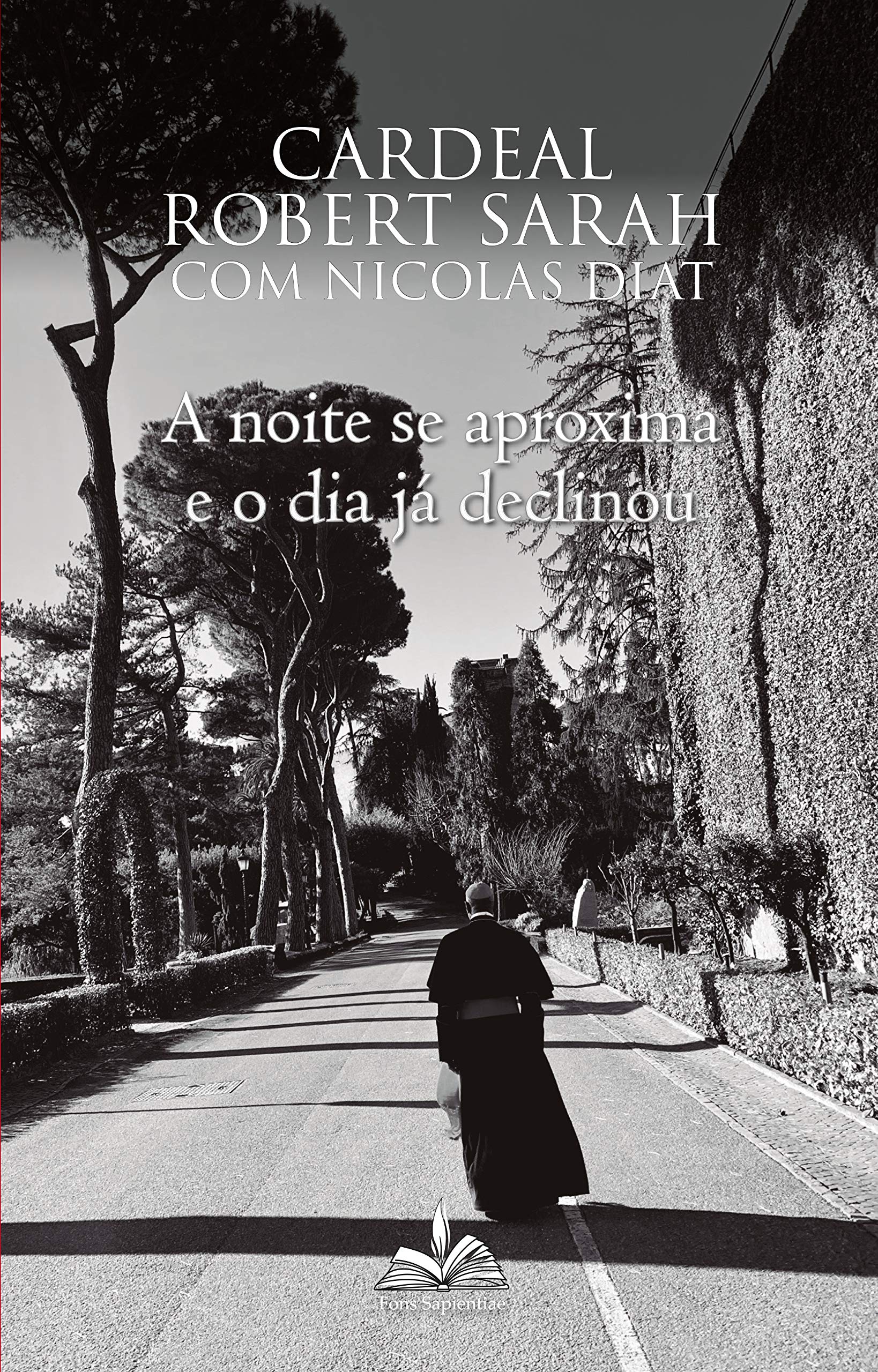 A Noite Se Aproxima e o Dia Ja Declinou (Em Portugues do Brasil) book