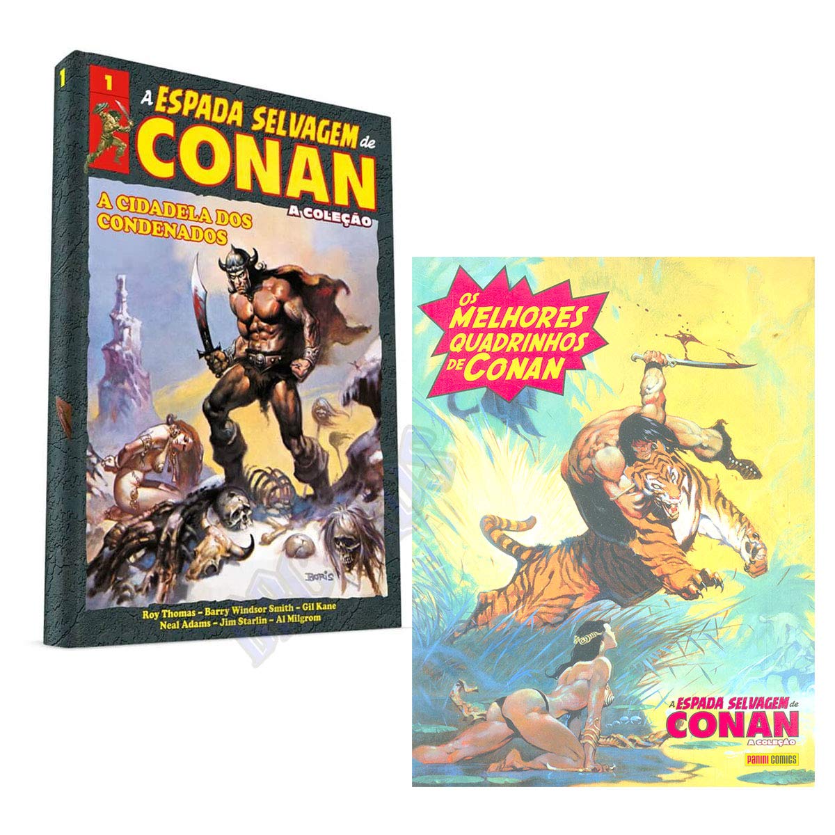 espada selvagem de conan vol 1 a coleco capa dura Ed. 2020 book