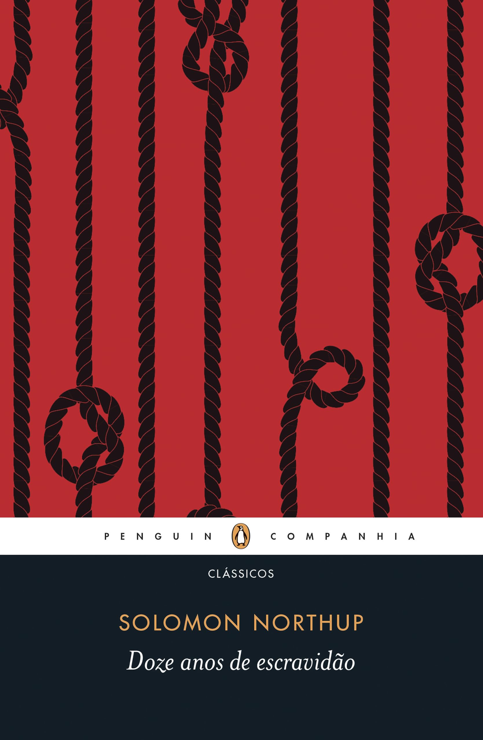 Doze Anos de Escravidão (Em Portuguese do Brasil) book