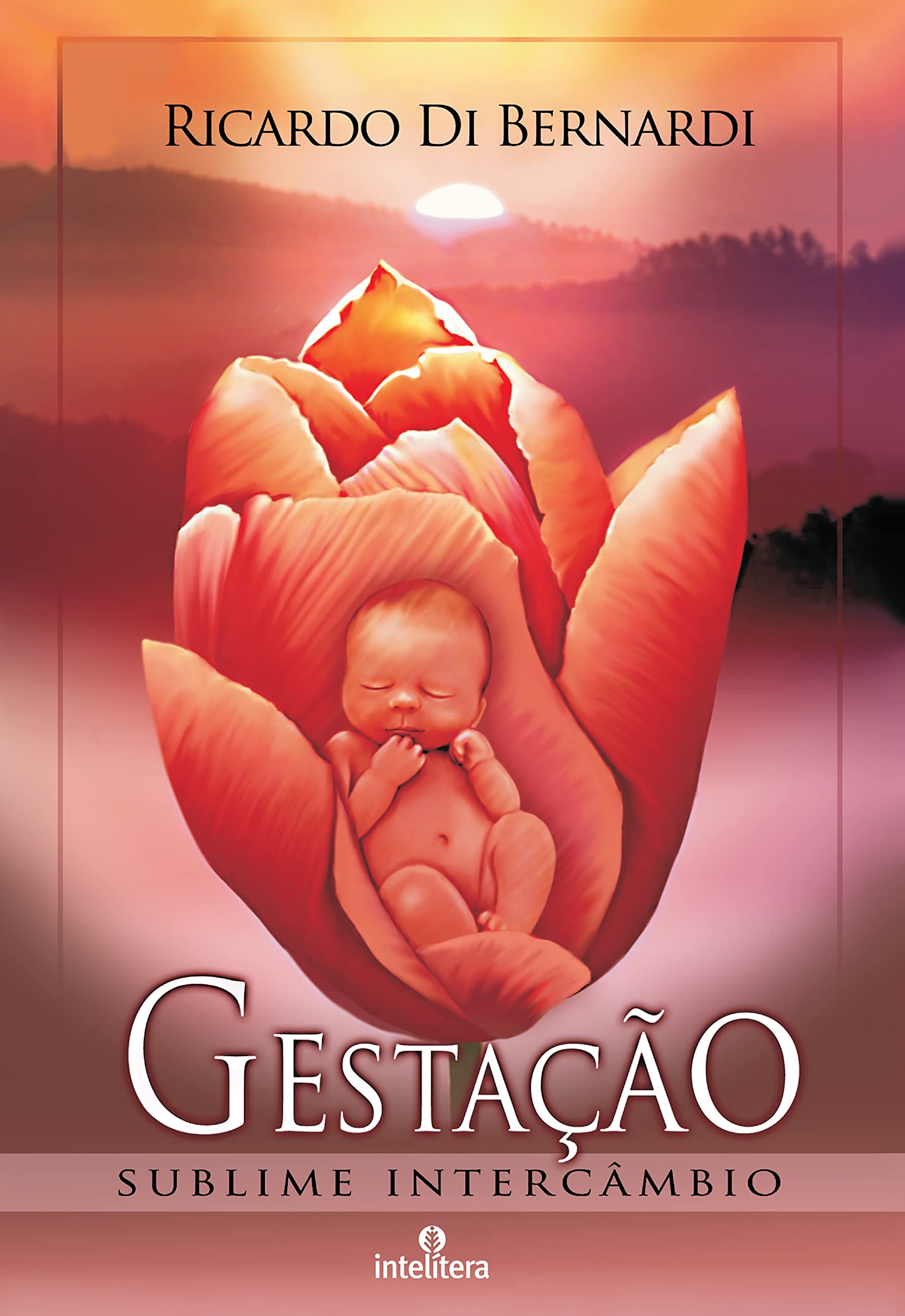 Gestação. Sublime Intercâmbio (Em Portuguese do Brasil) Books