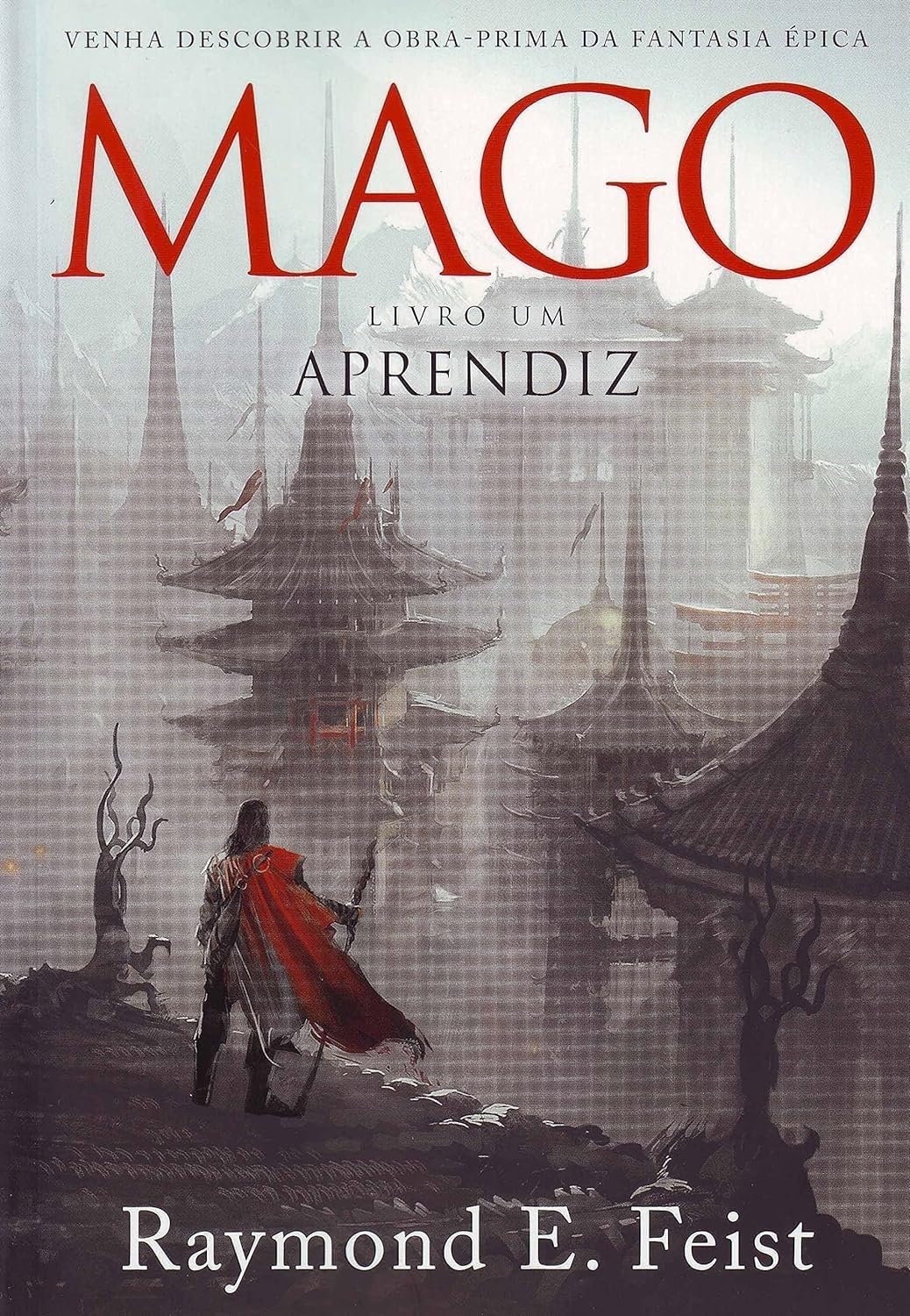O Mago Aprendiz. A Saga do Mago - Livro Um (Em Portuguese do Brasil) Books