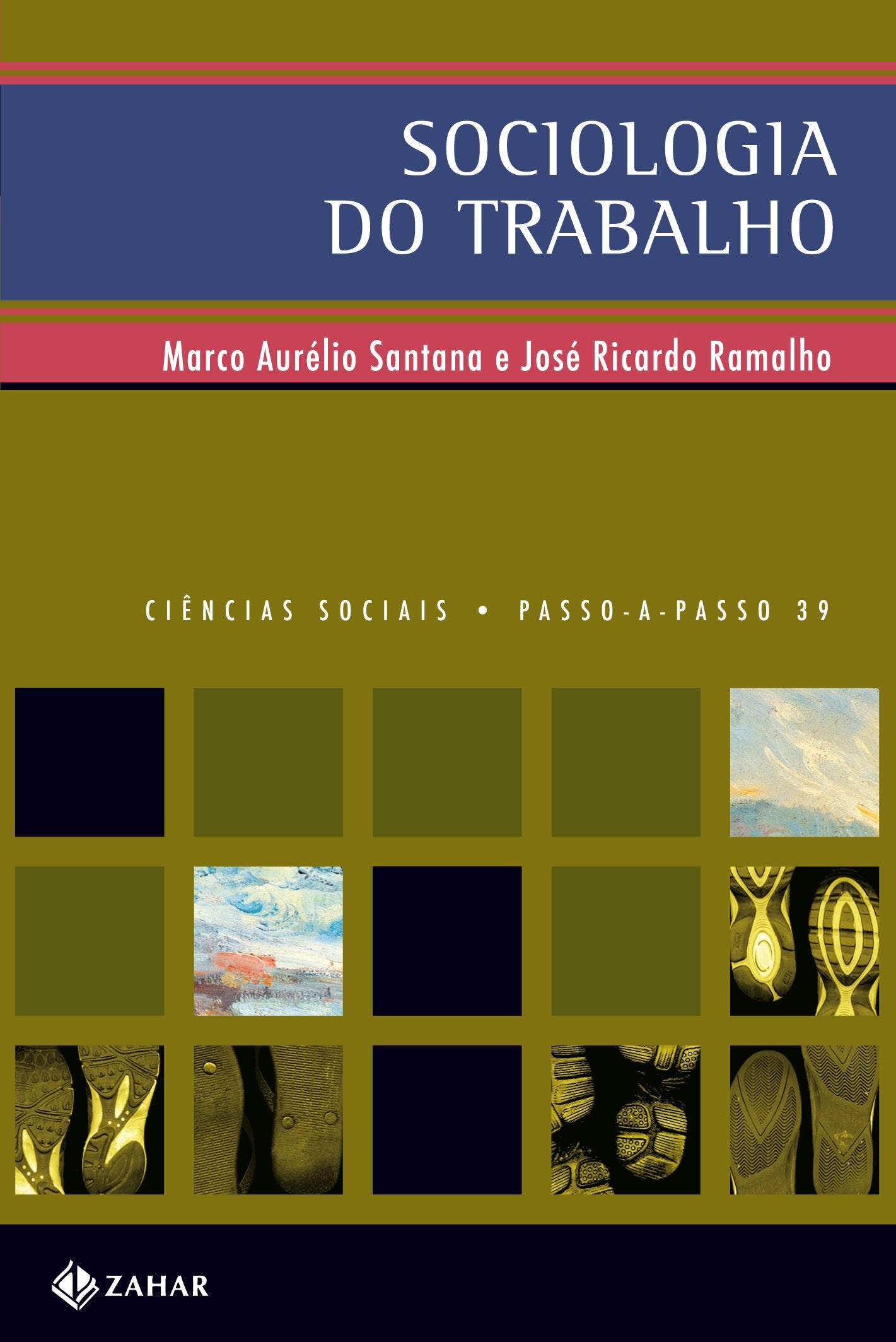 Sociologia Do Trabalho. Coleção Passo-a-Passo Ciências Sociais (Em Portuguese do Brasil) book