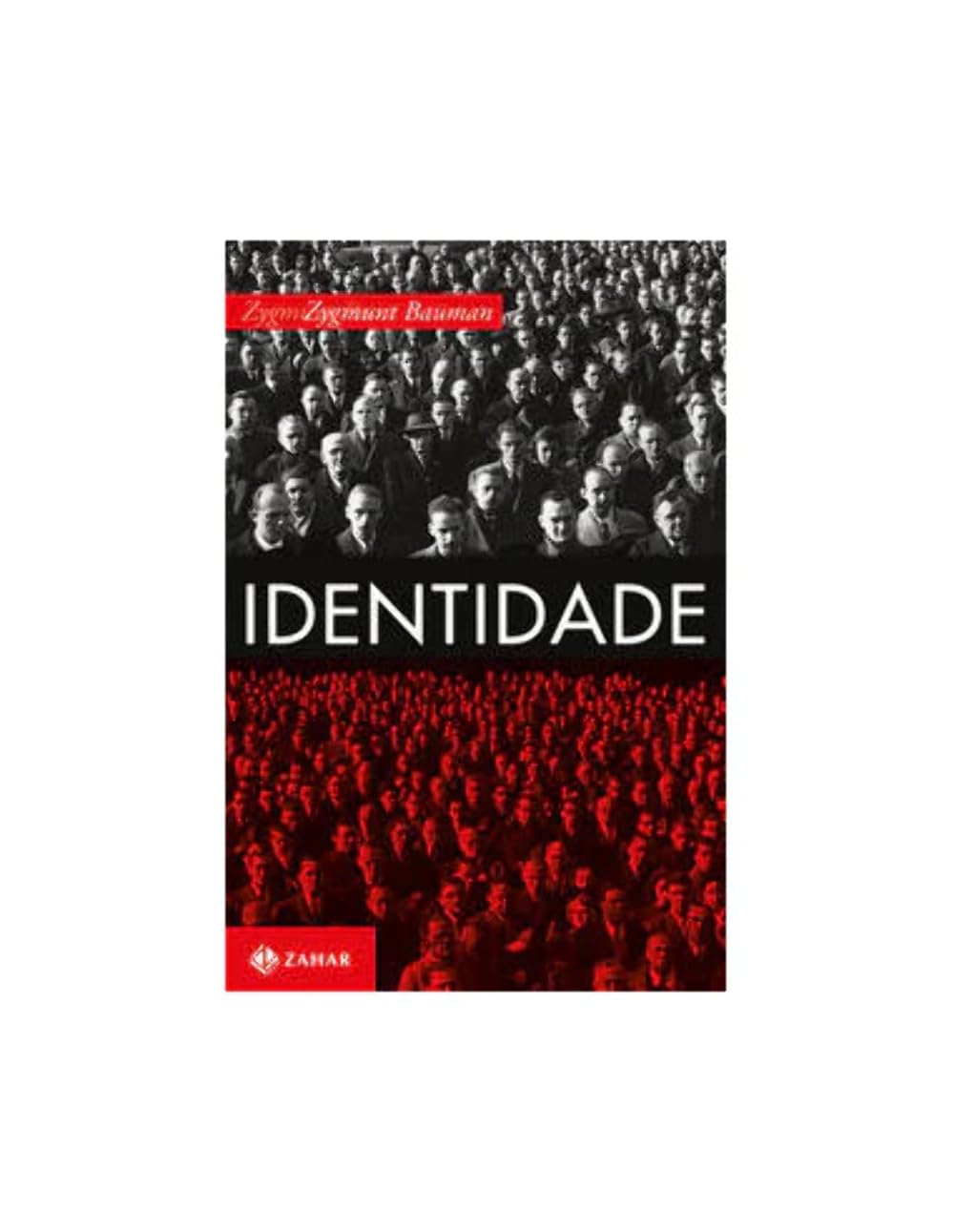 Identidade (Em Portuguese do Brasil) Books