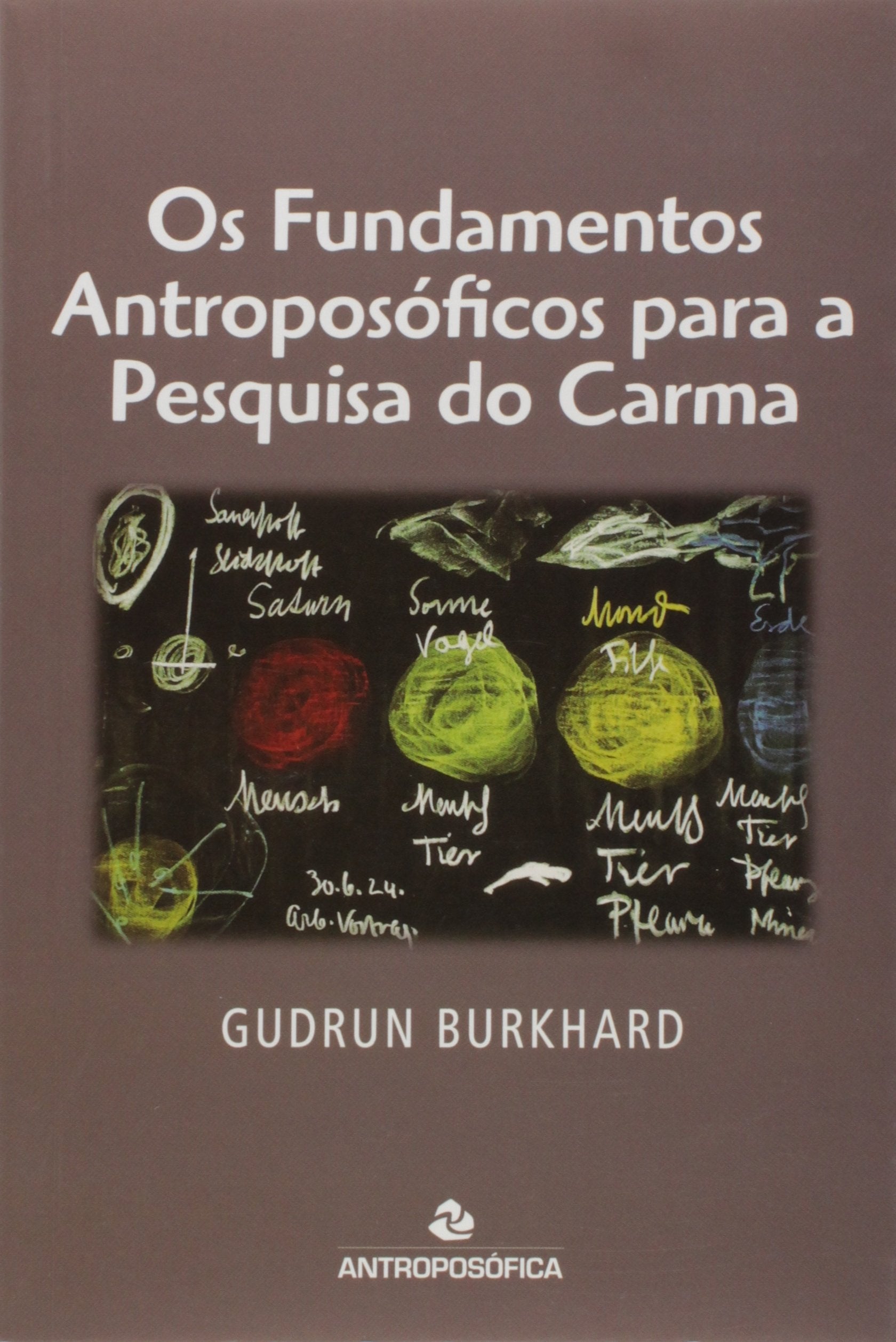 Os Fundamentos Antroposóficos Para a Pesquisa do Carma book