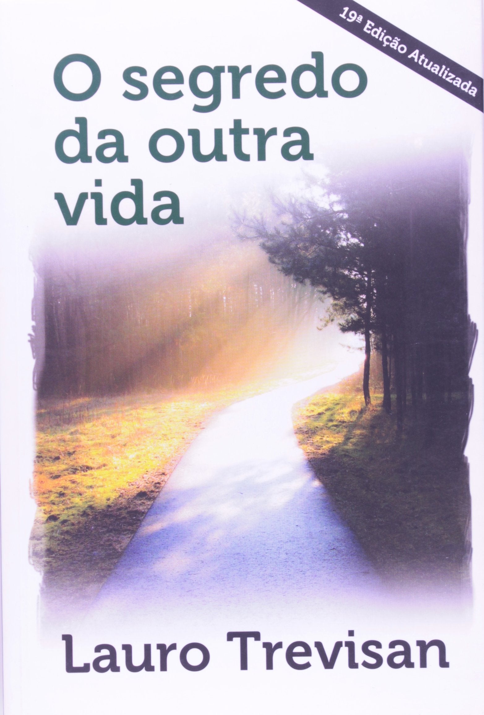 O Segredo de Outra Vida (Em Portuguese do Brasil) book