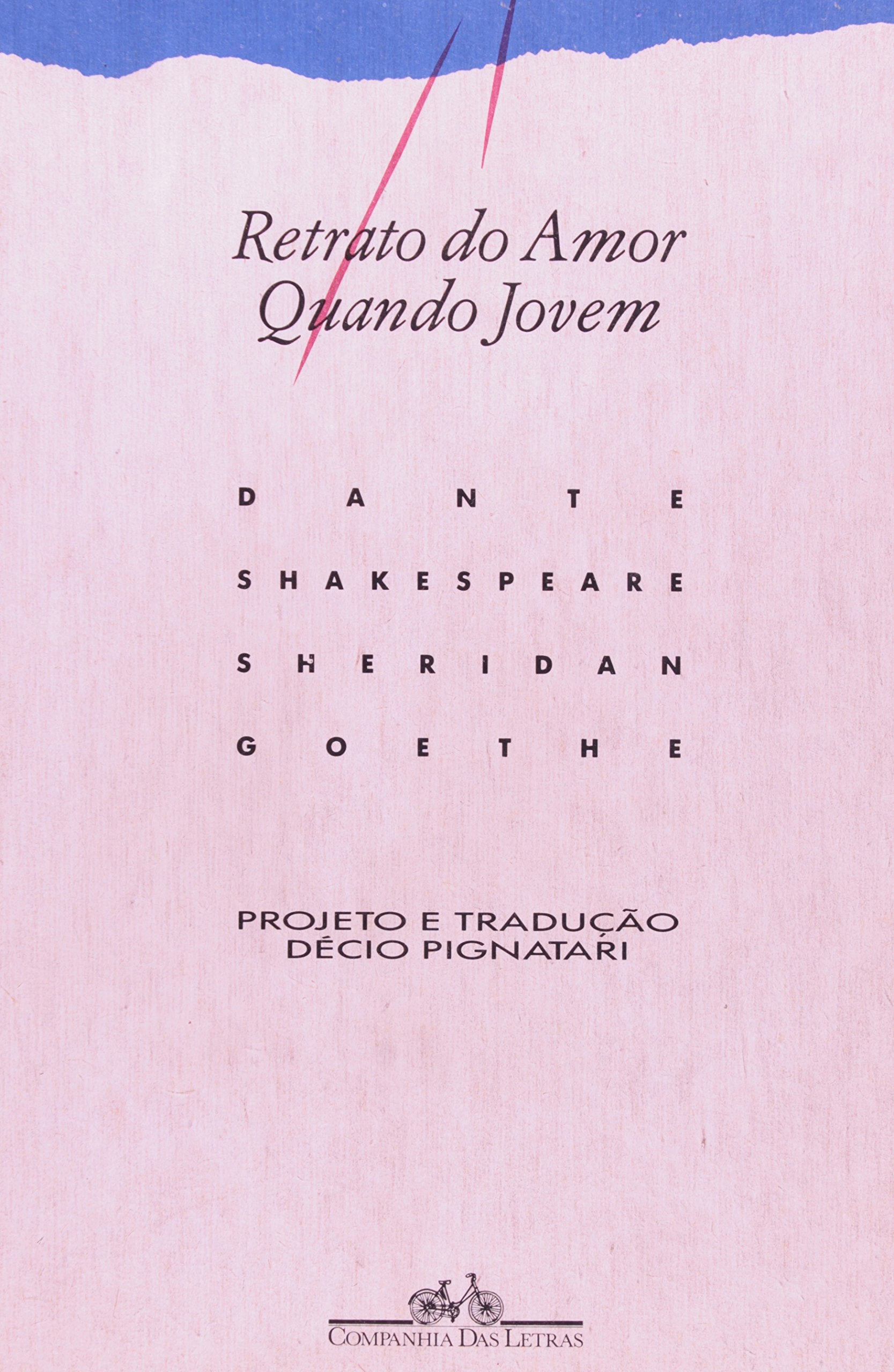 RETRATO DO AMOR QUANDO JOVEM (Em Portuguese do Brasil) book