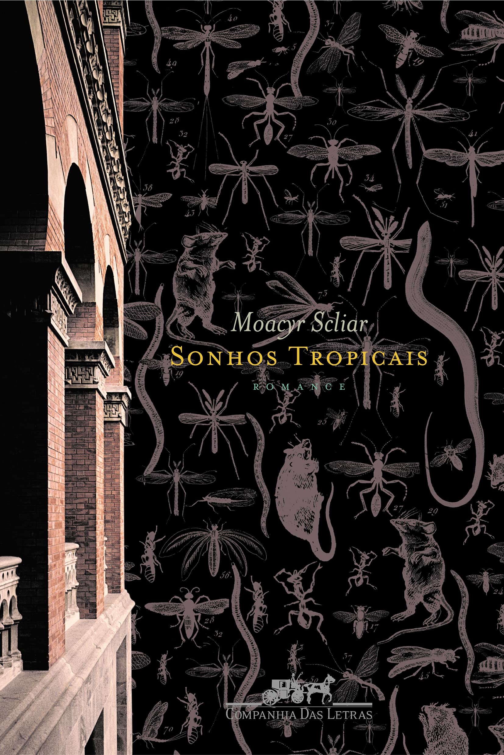 Sonhos tropicais (Portuguese Edition) Books