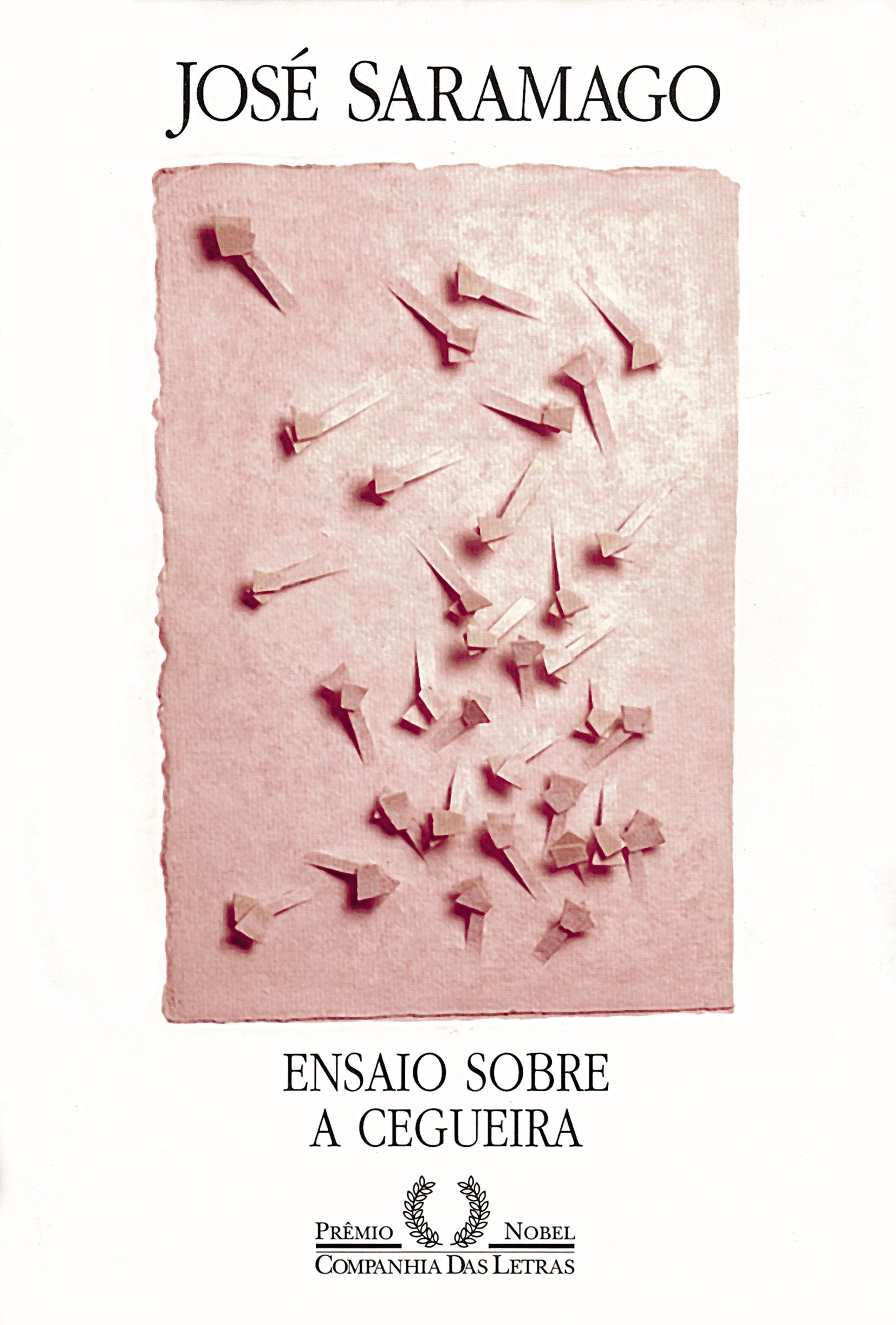 ENSAIO SOBRE A CEGUEIRA (Em Portuguese do Brasil) book