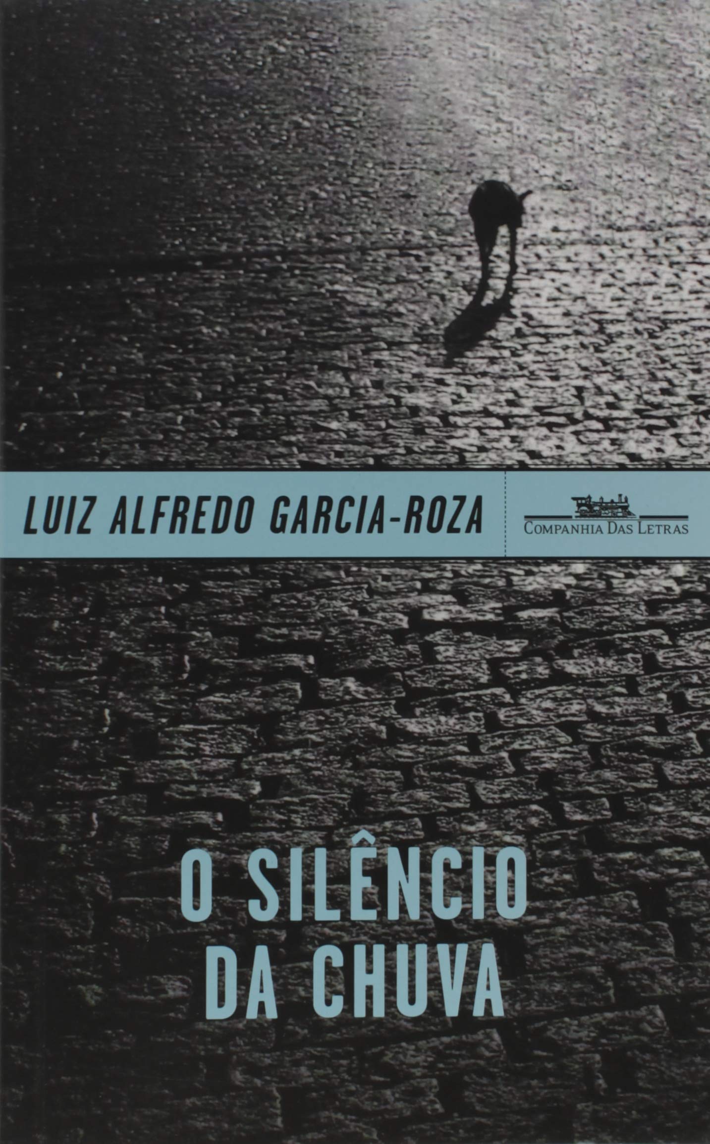 O silêncio da chuva Books