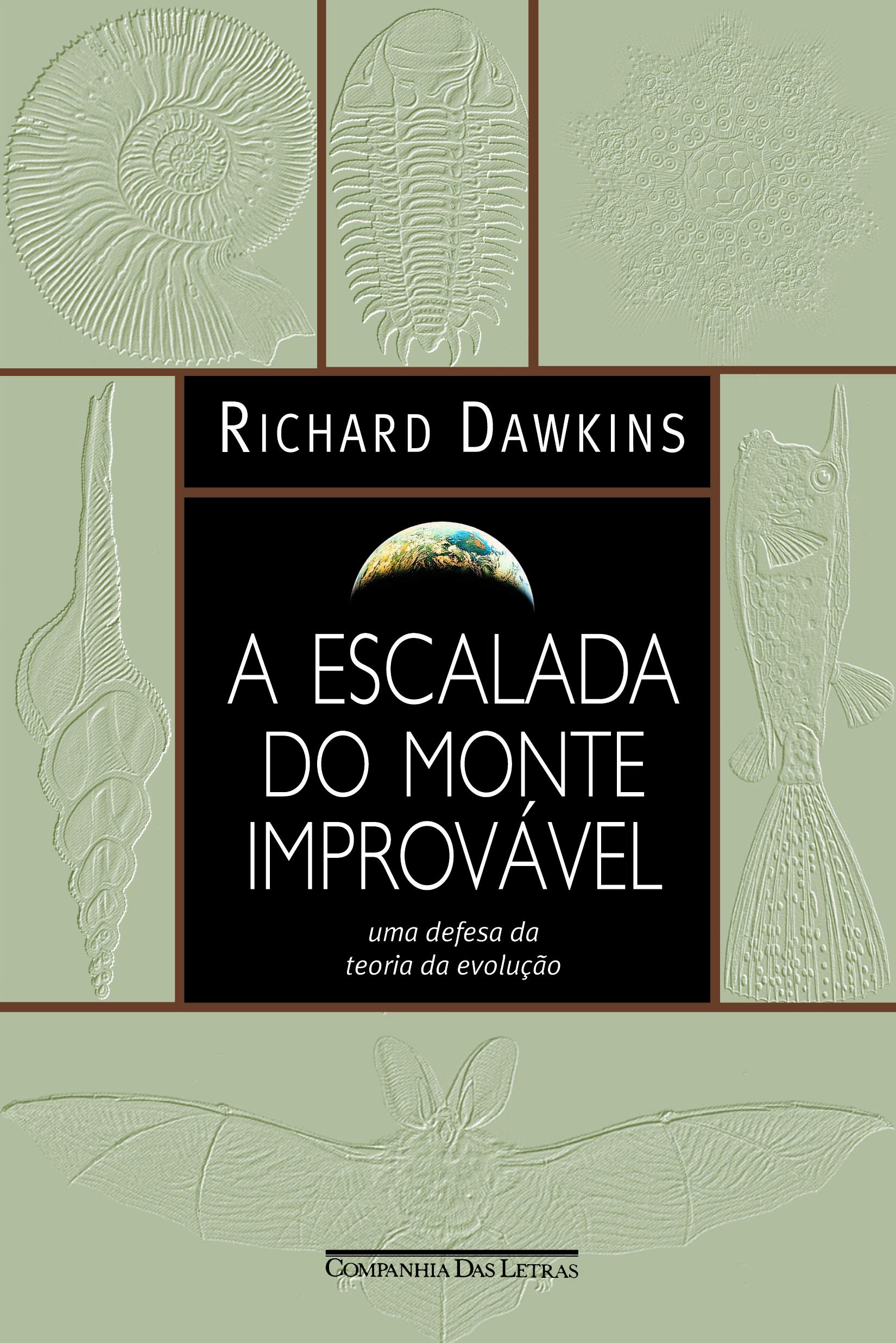 ESCALADA DO MONTE IMPROVÁVEL, A (Em Portuguese do Brasil) Books