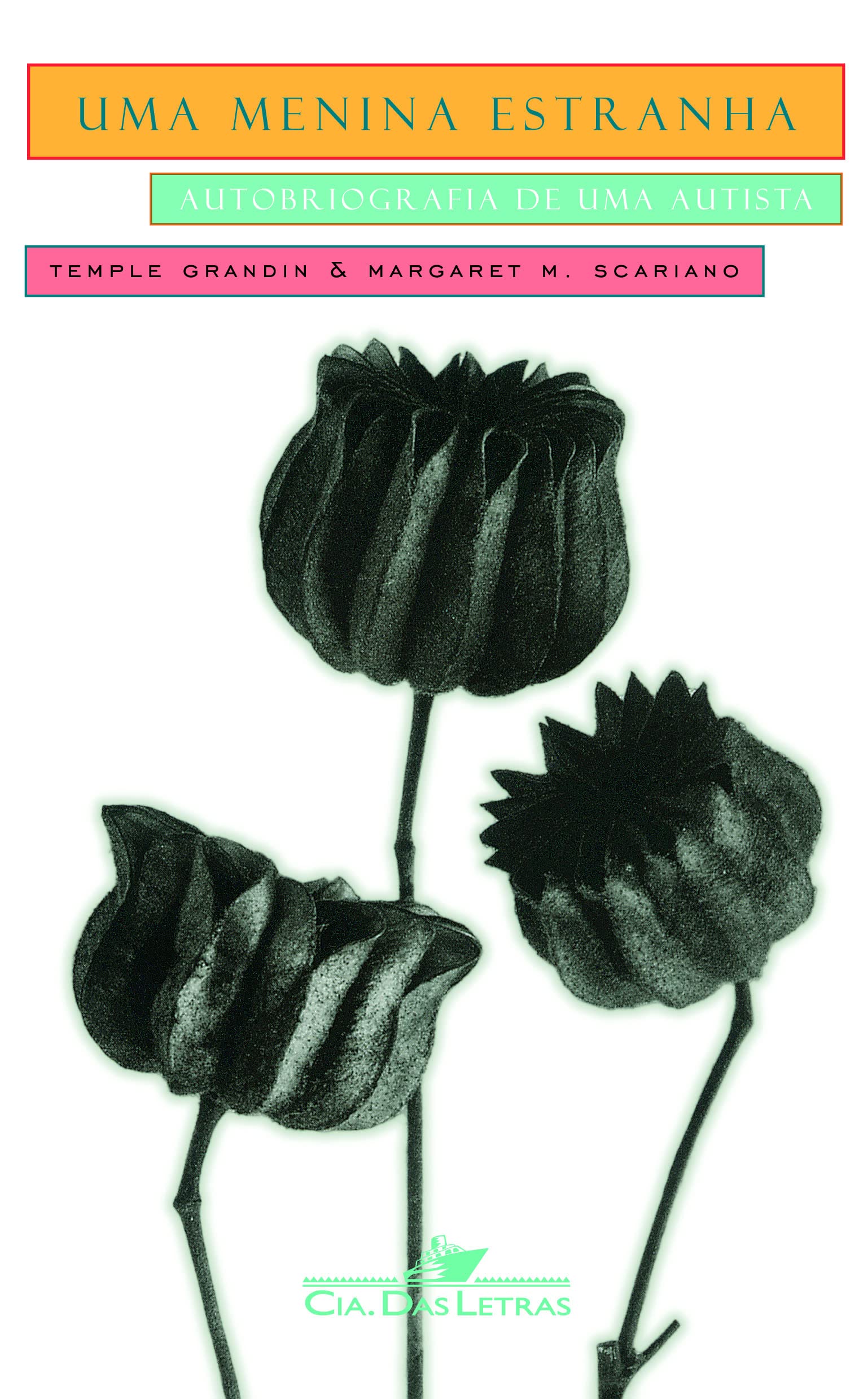Uma Menina Estranha (Em Portuguese do Brasil) book