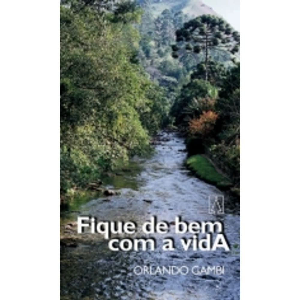 Fique De Bem Com A Vida (Em Portuguese do Brasil) book