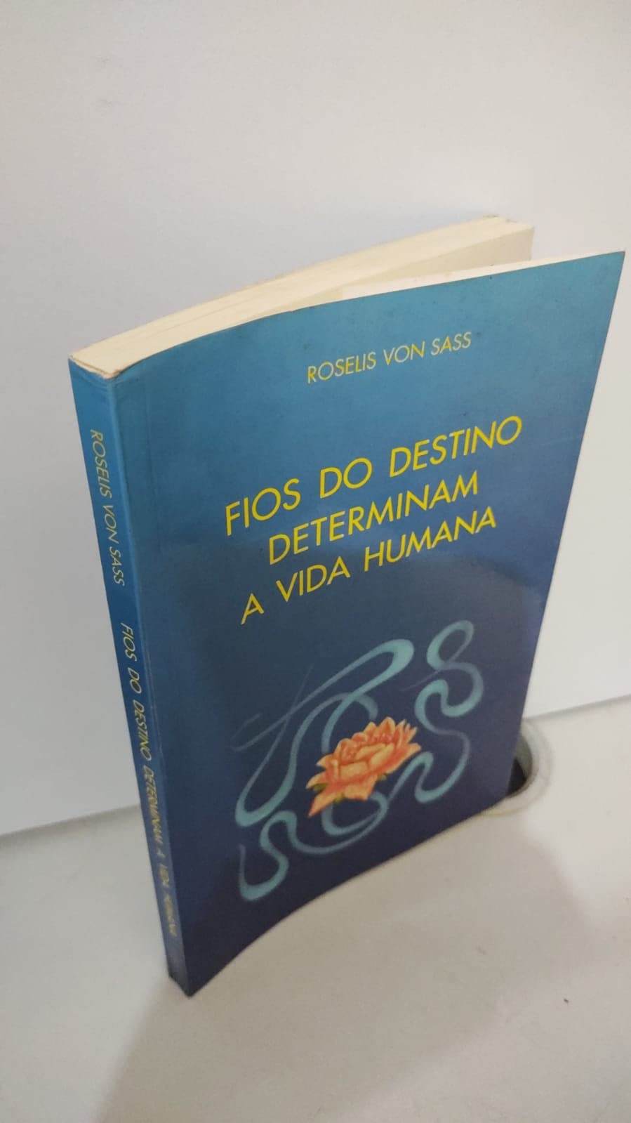 Fios Do Destino Determinam A Vida Humana-Broc (Em Portuguese do Brasil) book