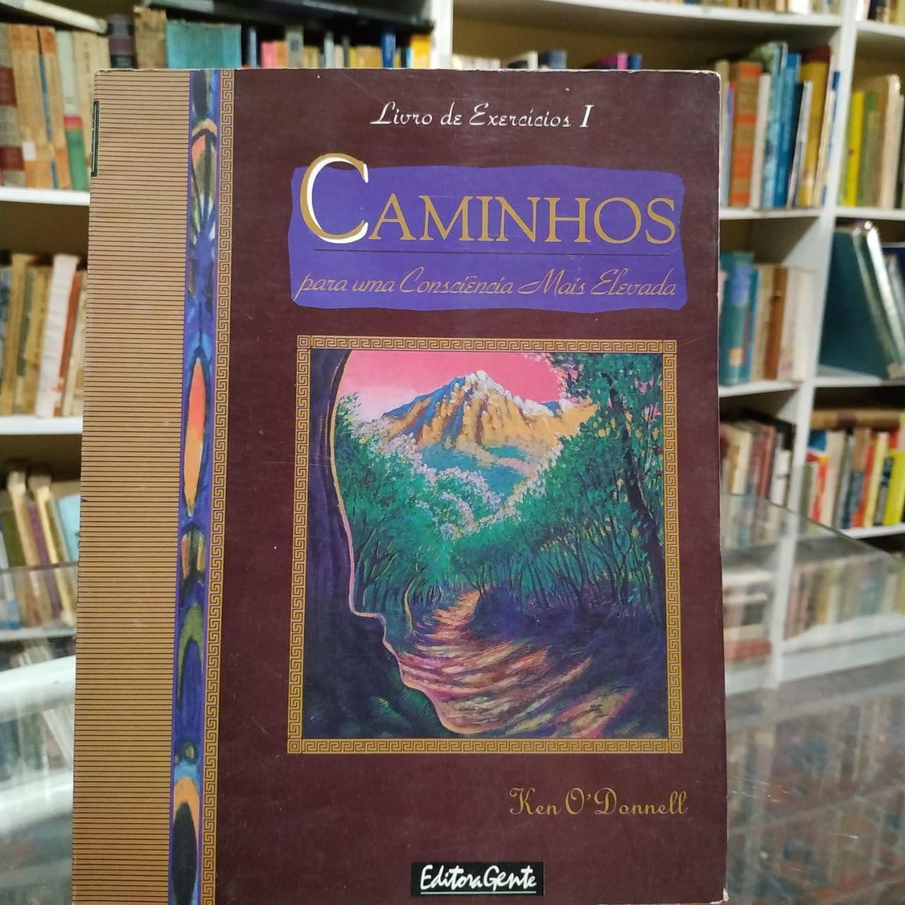 Caminhos Para Uma Consciência Mais Elevada (Em Portuguese do Brasil) book