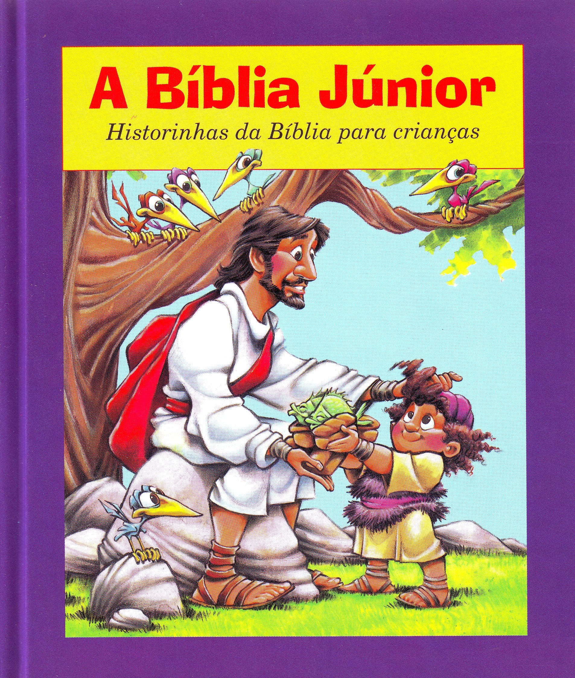 A Bíblia Júnior. Capa Azul (Em Portuguese do Brasil) Books