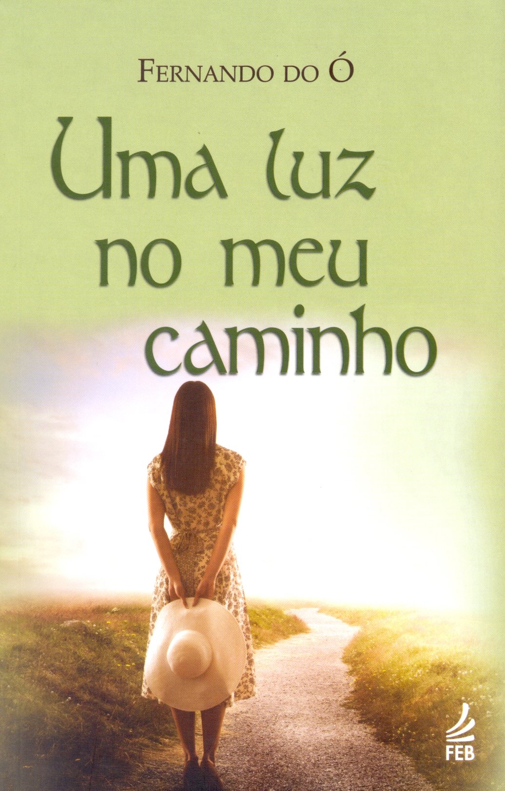 Uma Luz no Meu Caminho (Em Portuguese do Brasil) Books