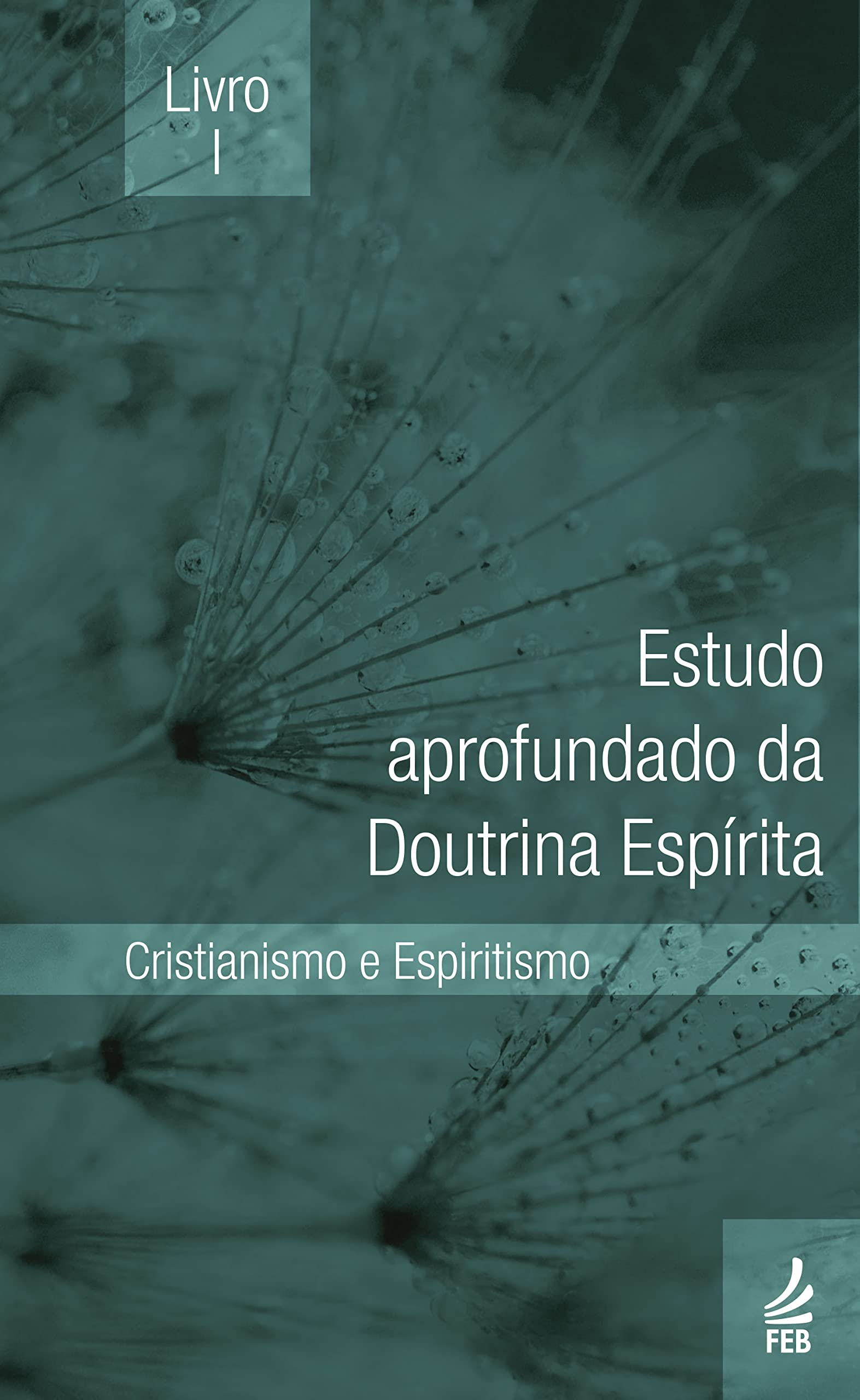Estudo Aprofundado da Doutrina Espírita (Portuguese Edition) Books