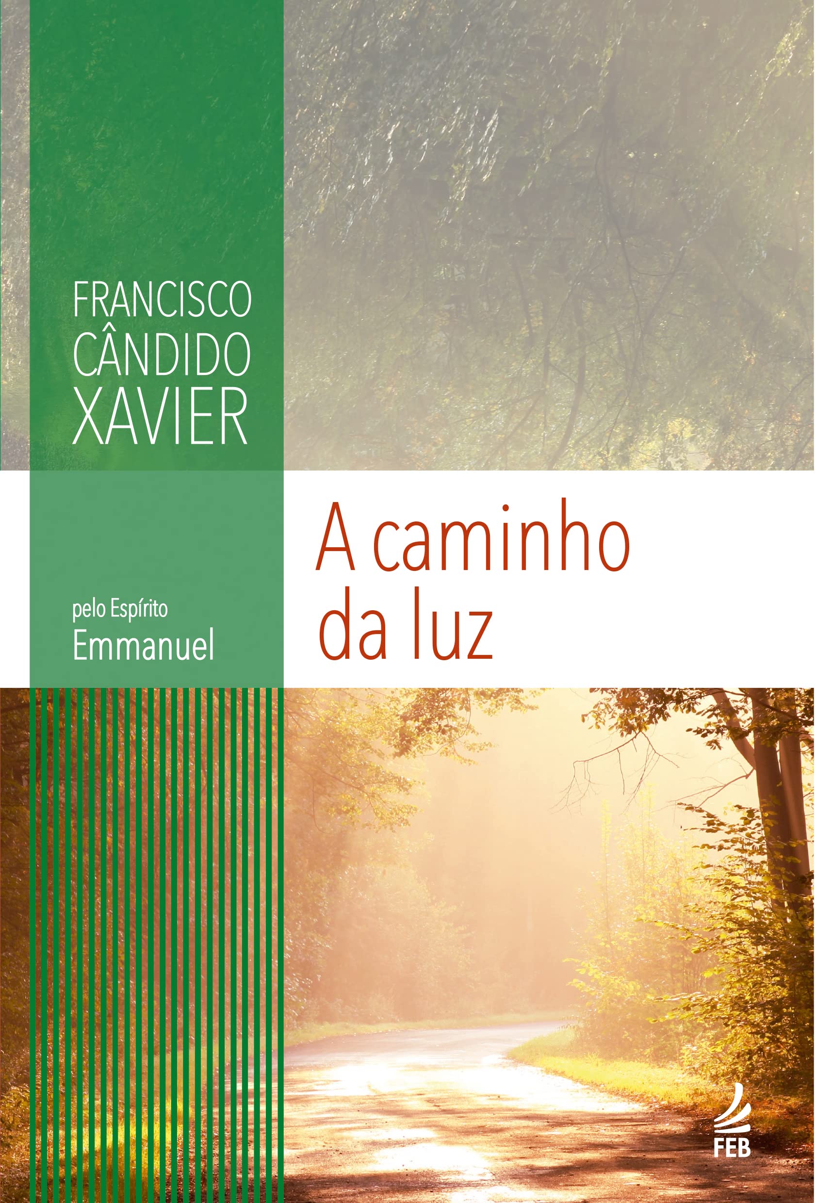 A Caminho Da Luz (Em Portuguese do Brasil) book