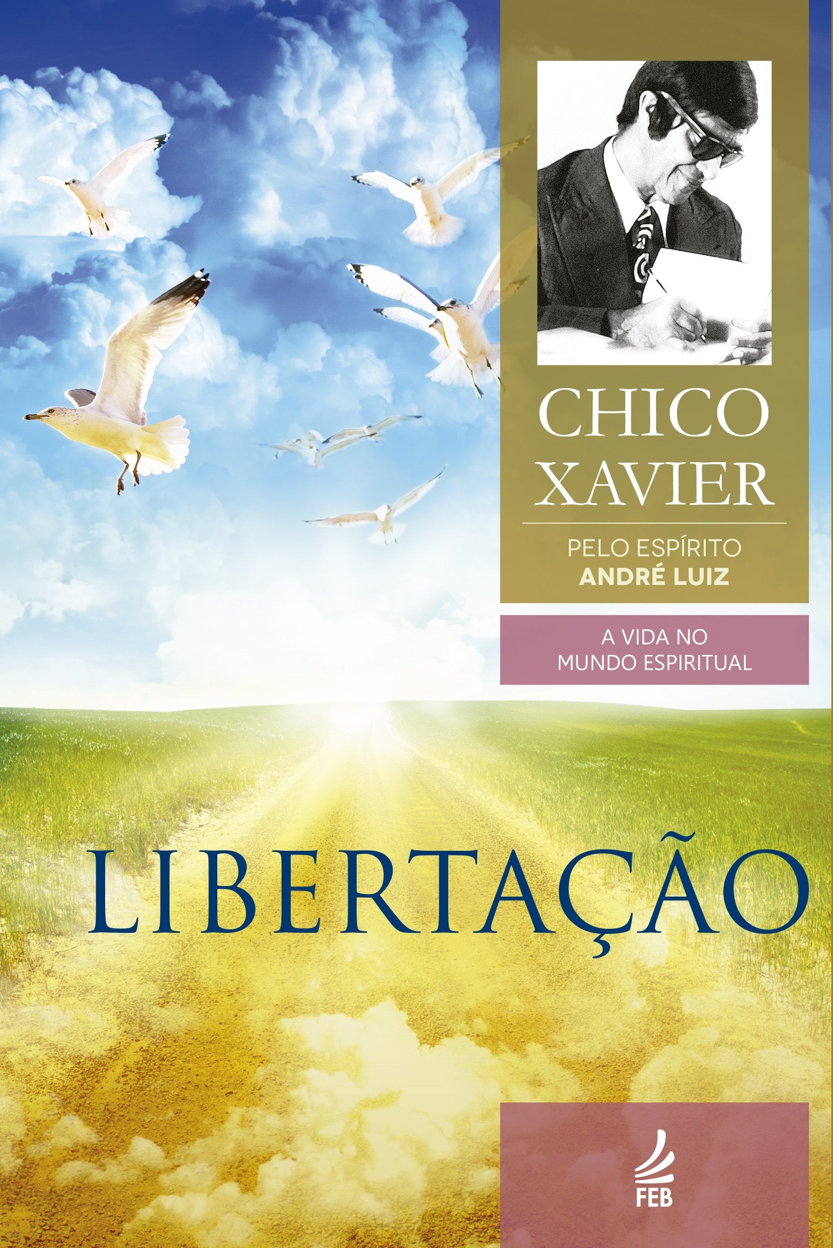 Libertação (A Vida no Mundo Espiritual) (Portuguese Edition) Religion & Esotericism