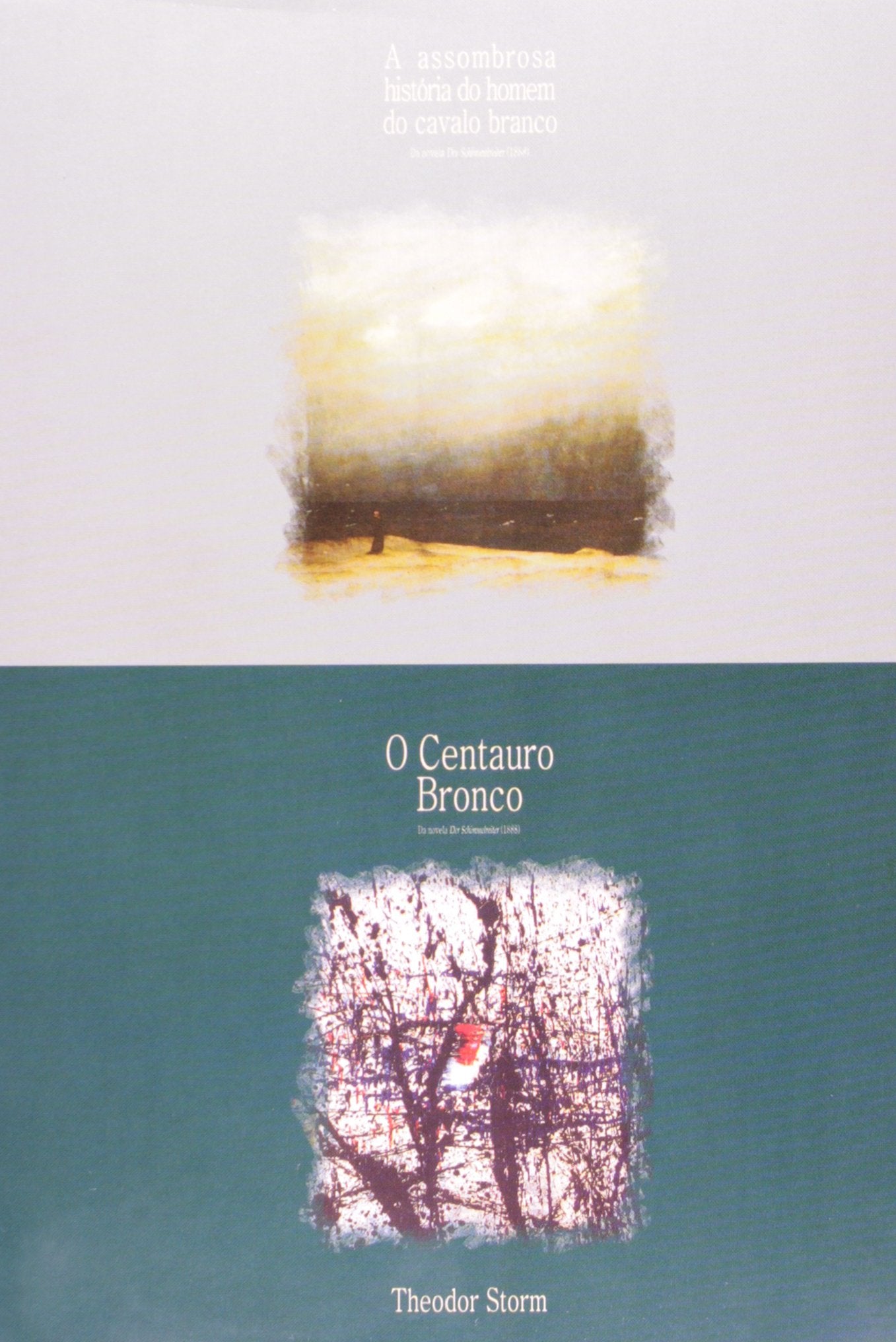 Assombrosa História do Homem do Cavalo Branco. Da Novela Der Schimmelreiter - 2 Volumes Books