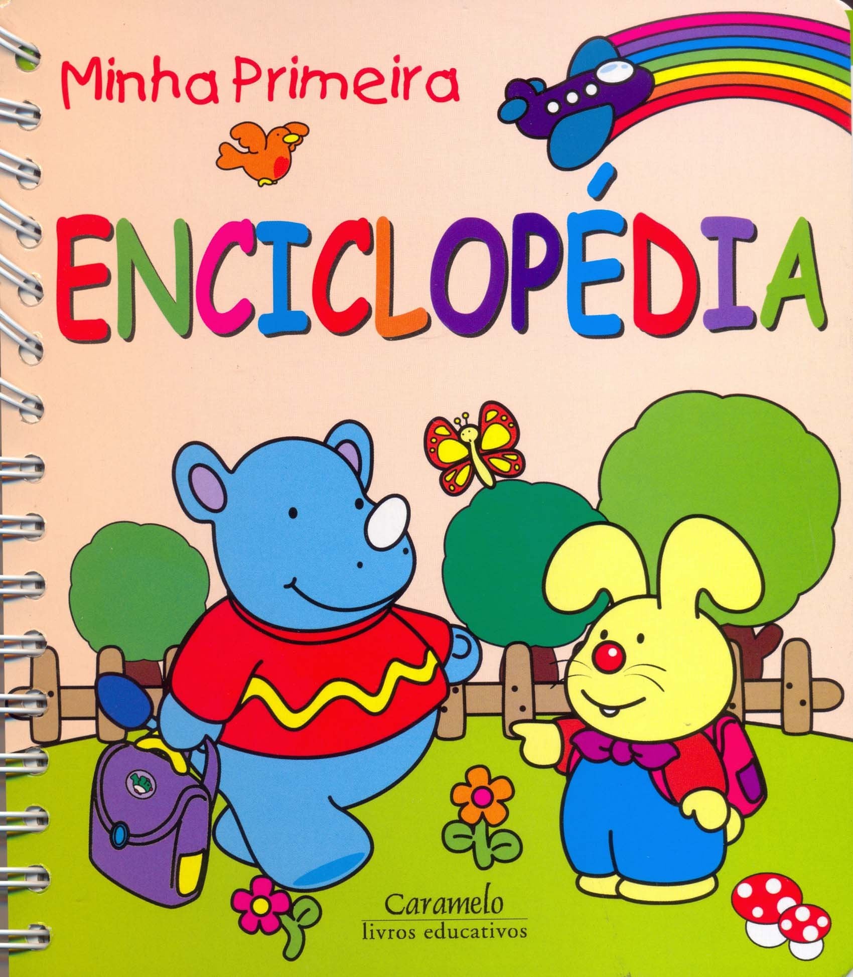 Minha Primeira Enciclopedia (Em Portuguese do Brasil) Books