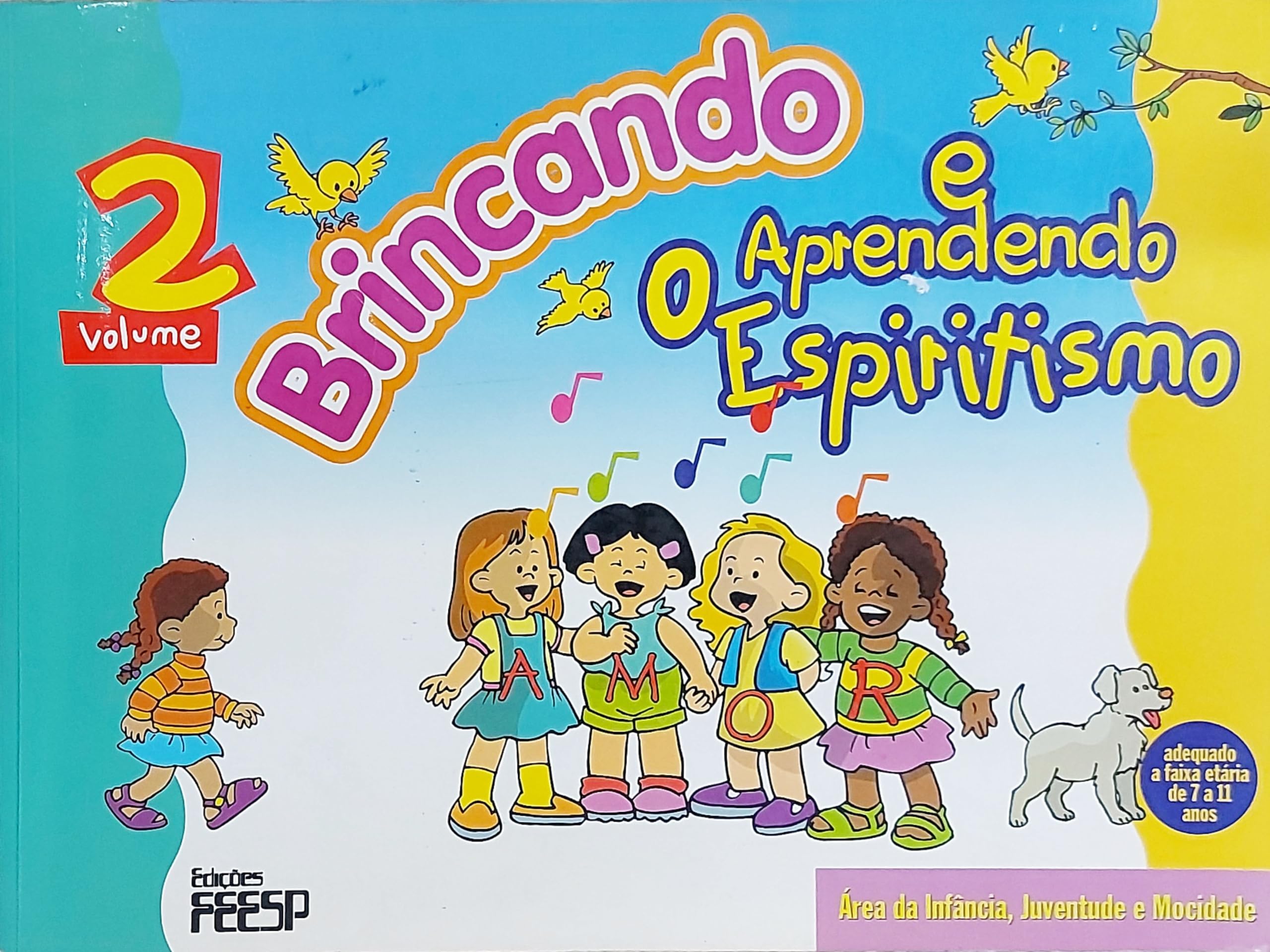 Brincando E Aprendendo O Espiritismo - V. 02 (Em Portuguese do Brasil) Books