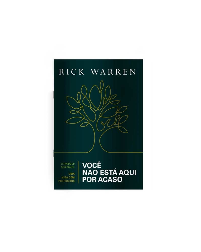 Voce Nao Esta Aqui Por Acaso Books
