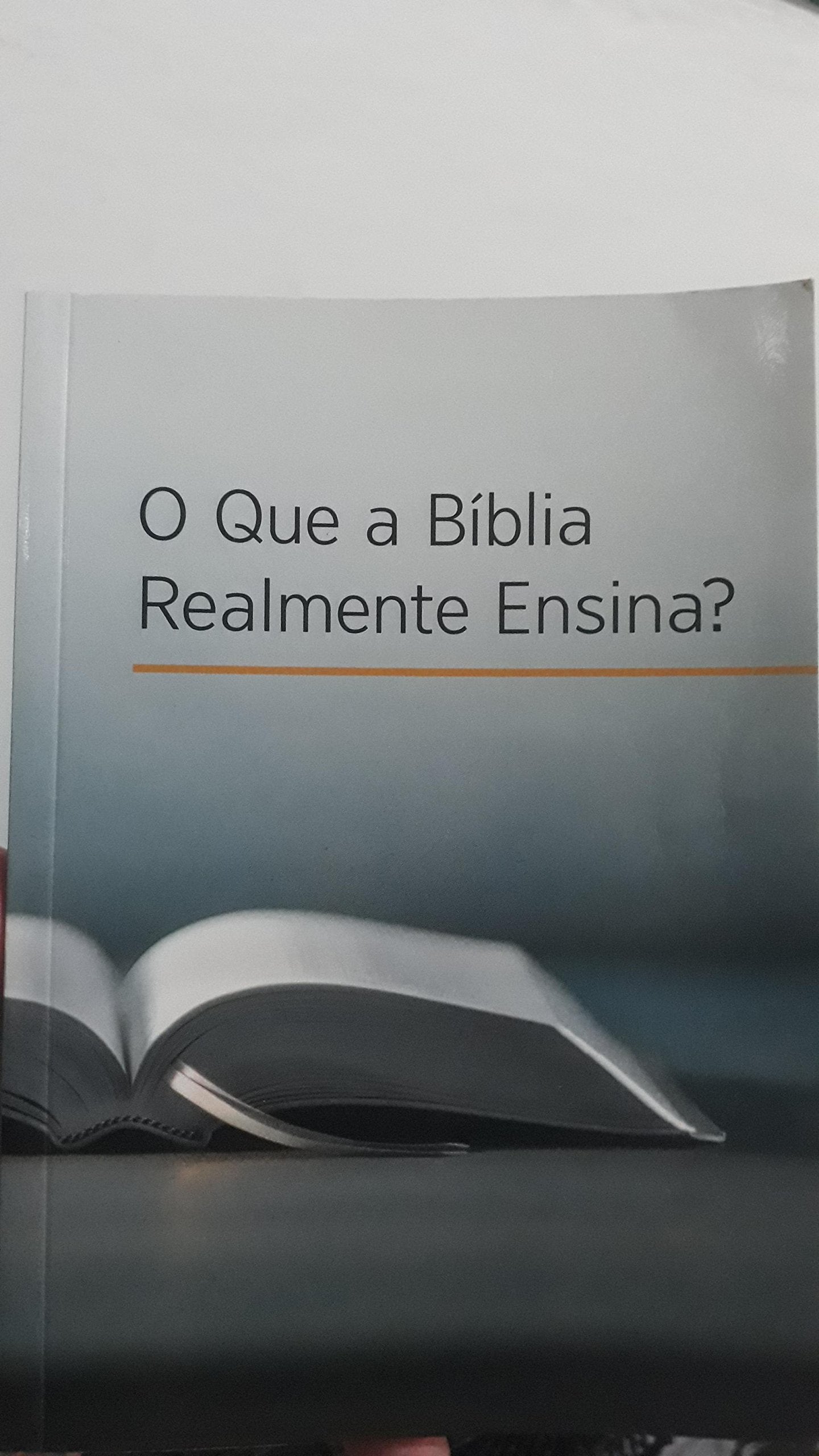 O Que a Bíblia Realmente Ensina? (Portuguese Editi book