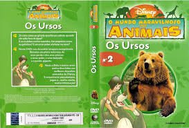 O MUNDO MARAVILHOSO DOS ANIMAIS OS PINGUINS N.6 - portuguese book