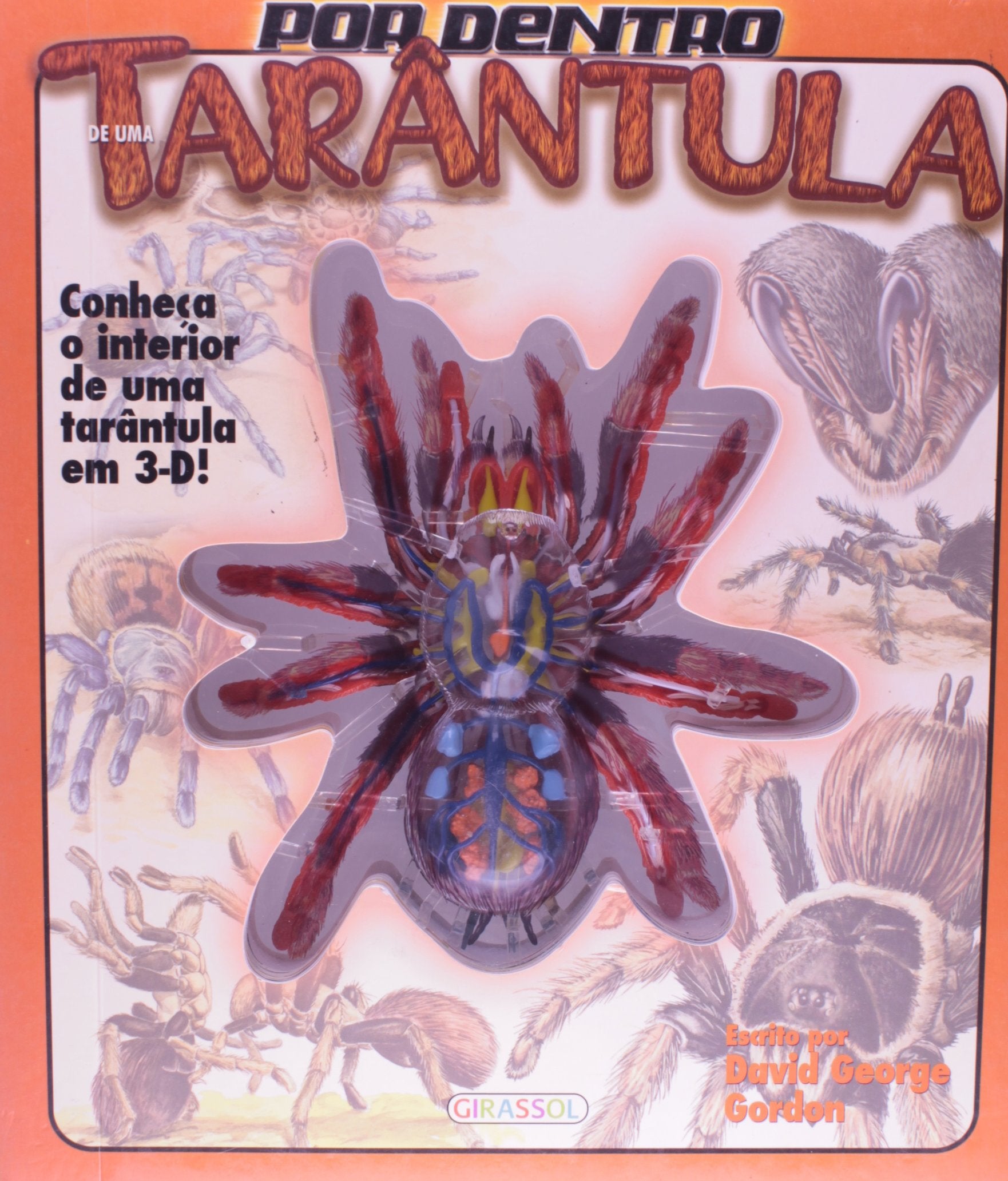 Por Dentro De Uma Tarantula - Livro 3D (Em Portuguese do Brasil) Books
