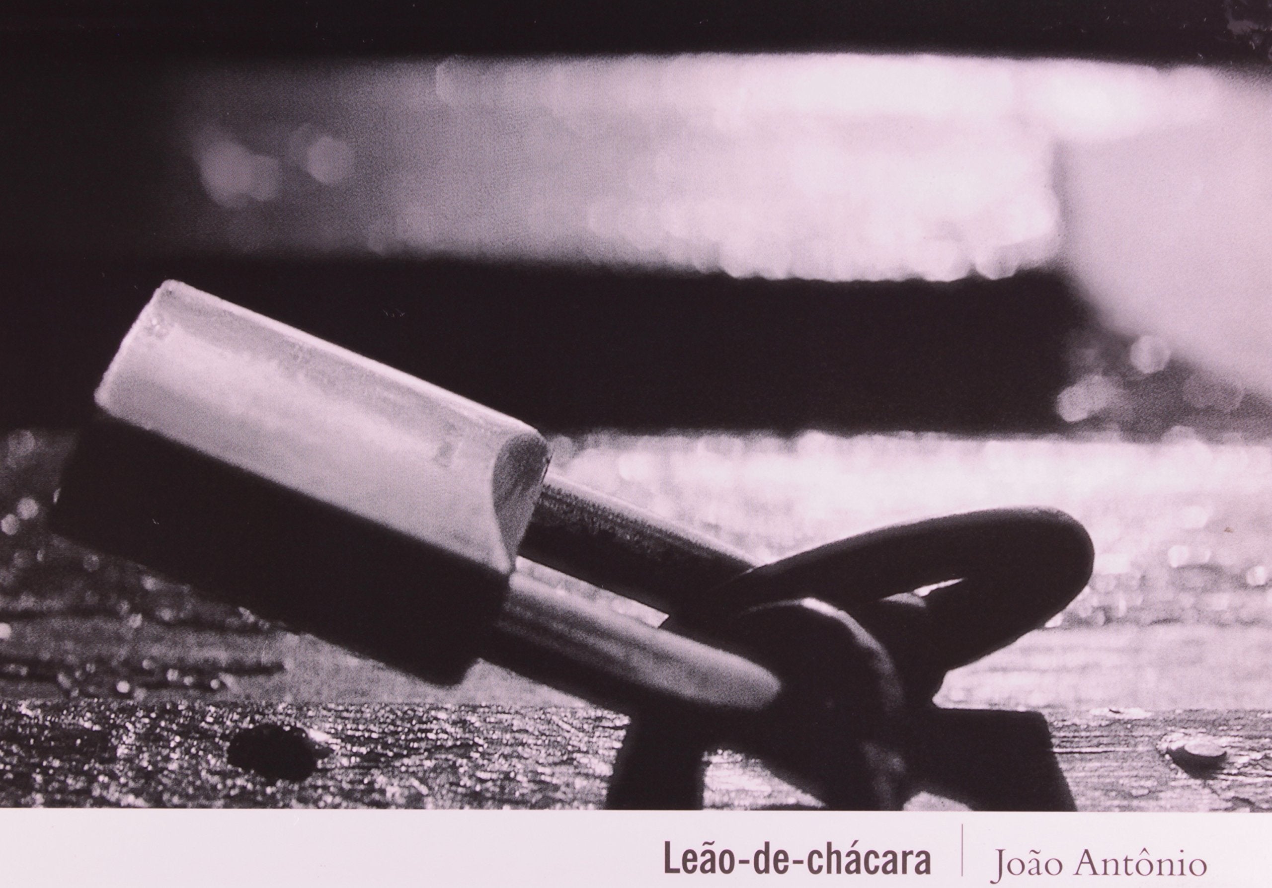 Leão-De-Chacara (Em Portuguese do Brasil) Books