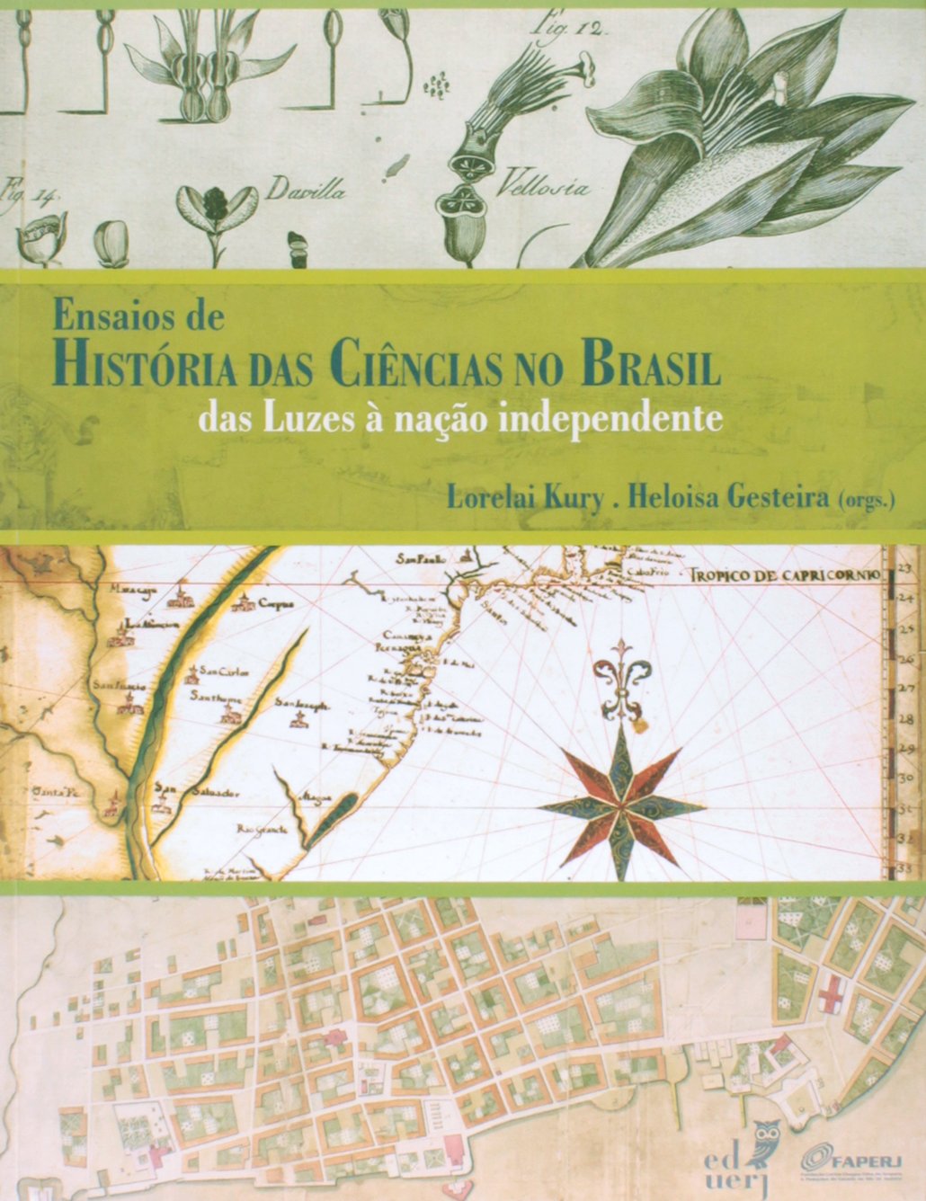 Ensaios de História das Ciências no Brasil. Das Luzes à Nação Independente book