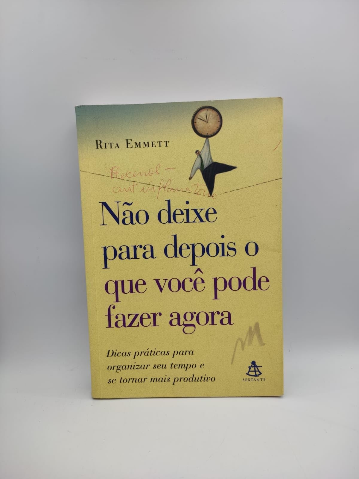 Não deixe para depois o que você pode fazer agora book