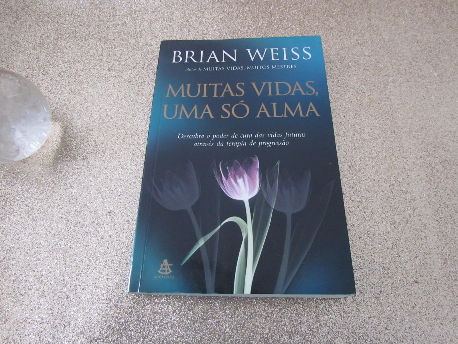 Muitas Vidas, Uma Só Alma Books