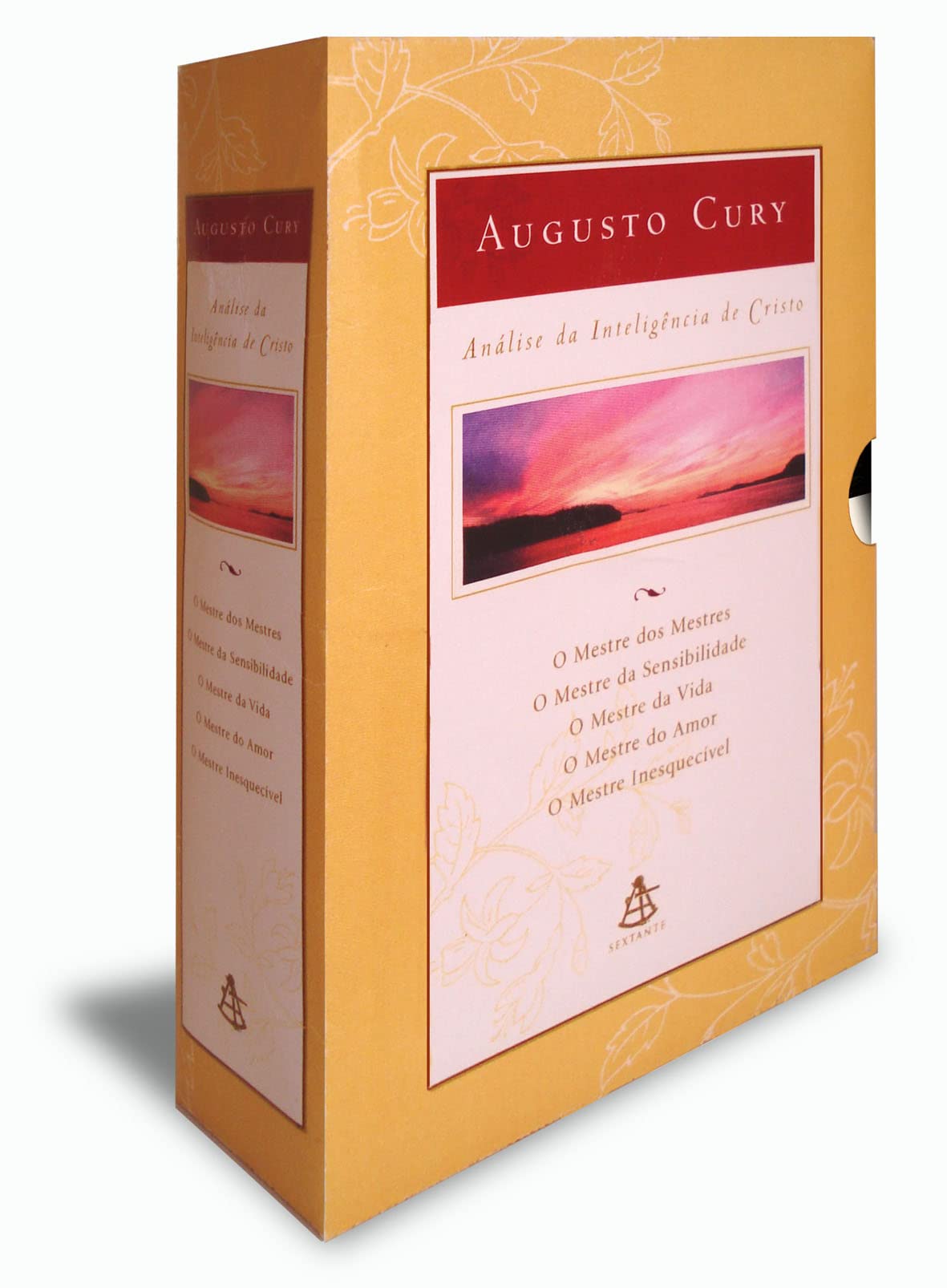 Análise Da Inteligência De Cristo - 5 Volumes (Em Portuguese do Brasil) book