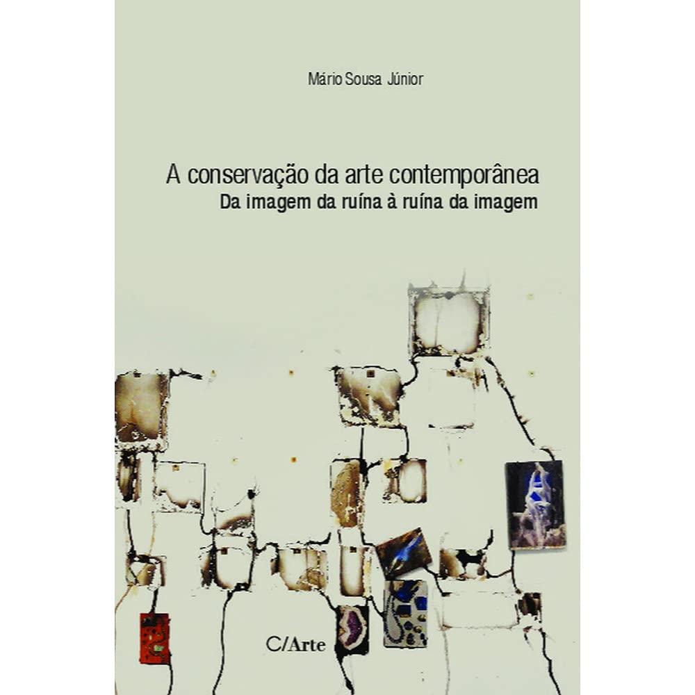 A Conservação da Arte Contemporânea: da Imagem da Ruína à Ruína da Imagem Books