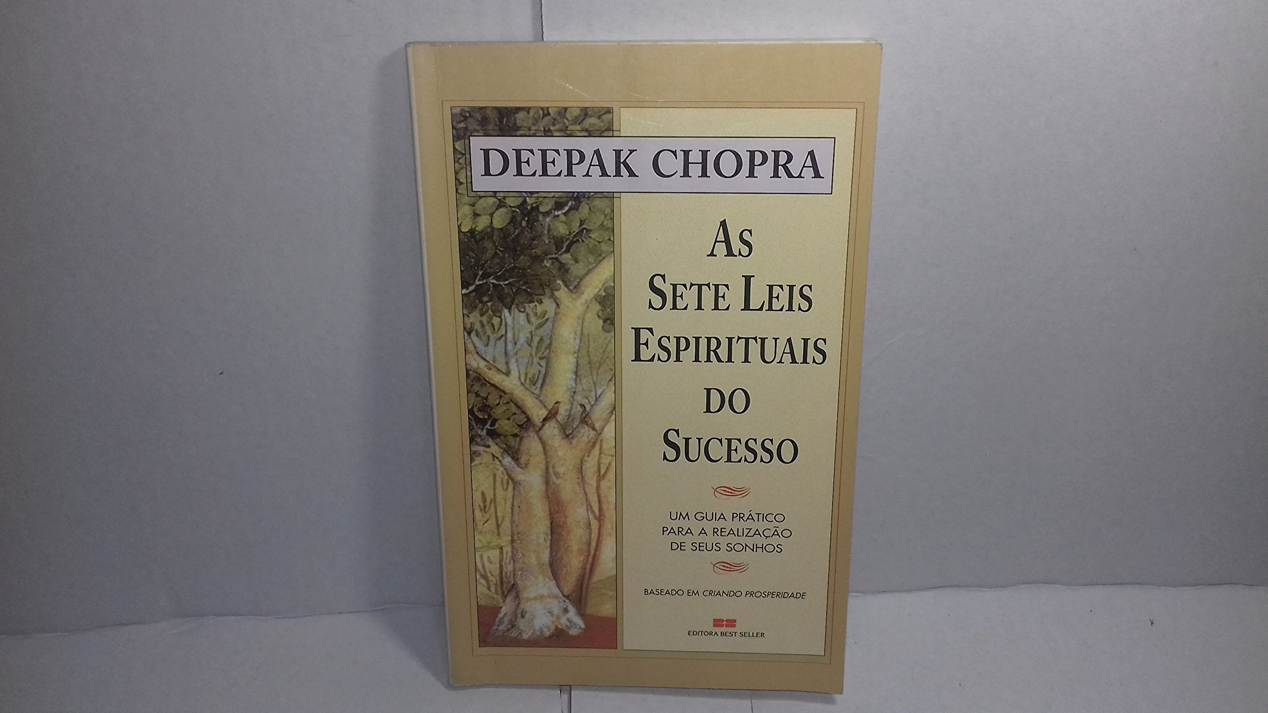 As Sete Leis Espirituais Do Sucesso (Em Portuguese do Brasil) Books