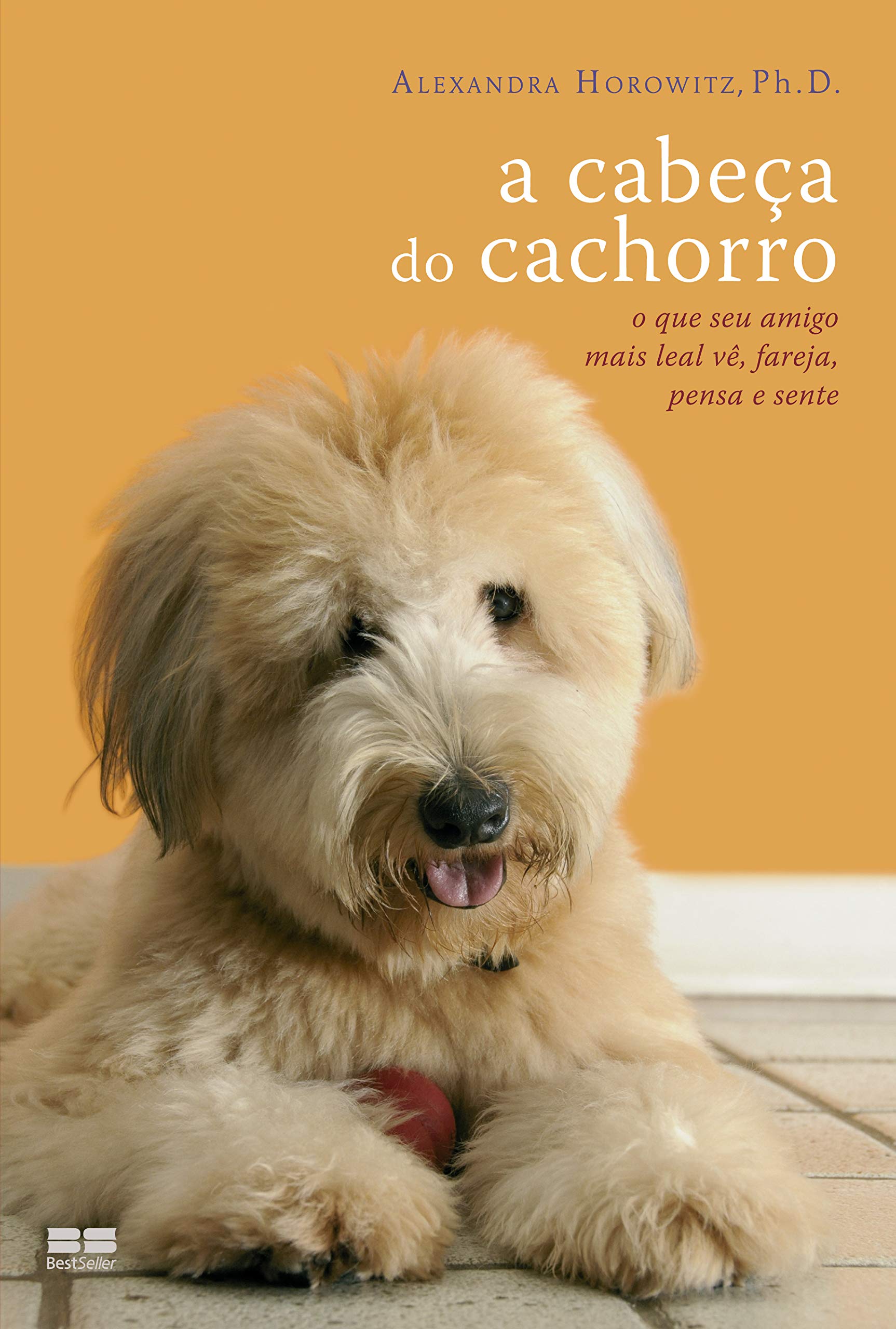 A Cabeça Do Cachorro (Em Portuguese do Brasil) book
