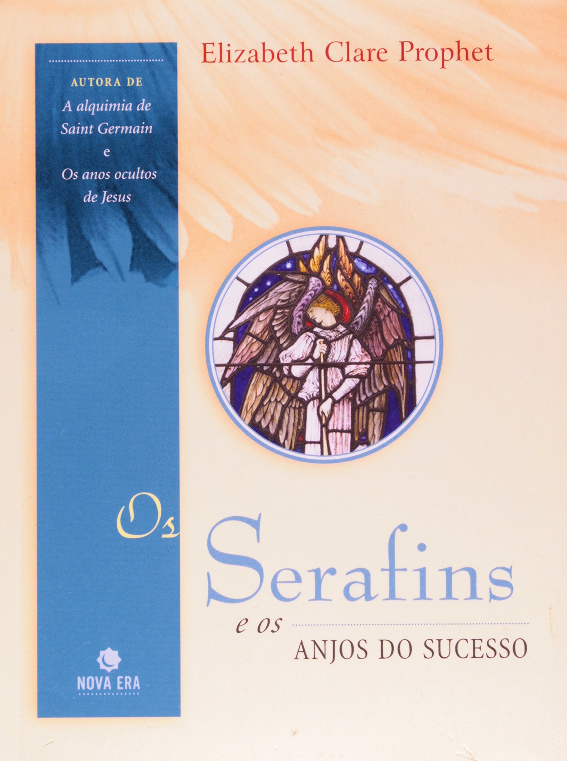 Os Serafins E Os Anjos Do Sucesso (Em Portuguese do Brasil) Books