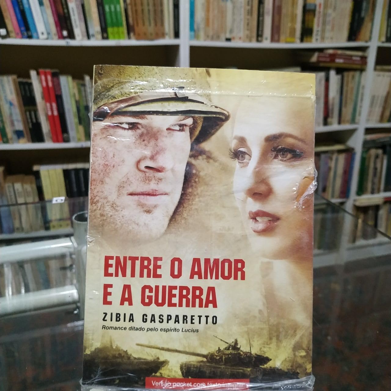 Entre o Amor e a Guerra (Em Portugues do Brasil) book
