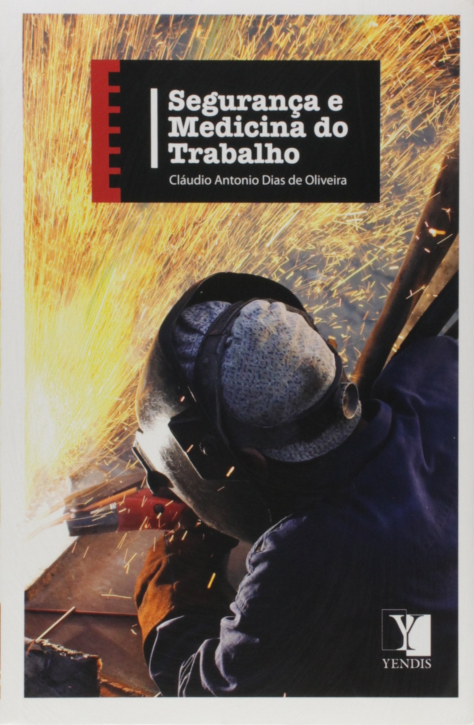 Segurança E Medicina Do Trabalho (Em Portuguese do Brasil) book