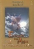 livro evangelho dos anjos volume 1 joo berbel Ed. 2011 Books