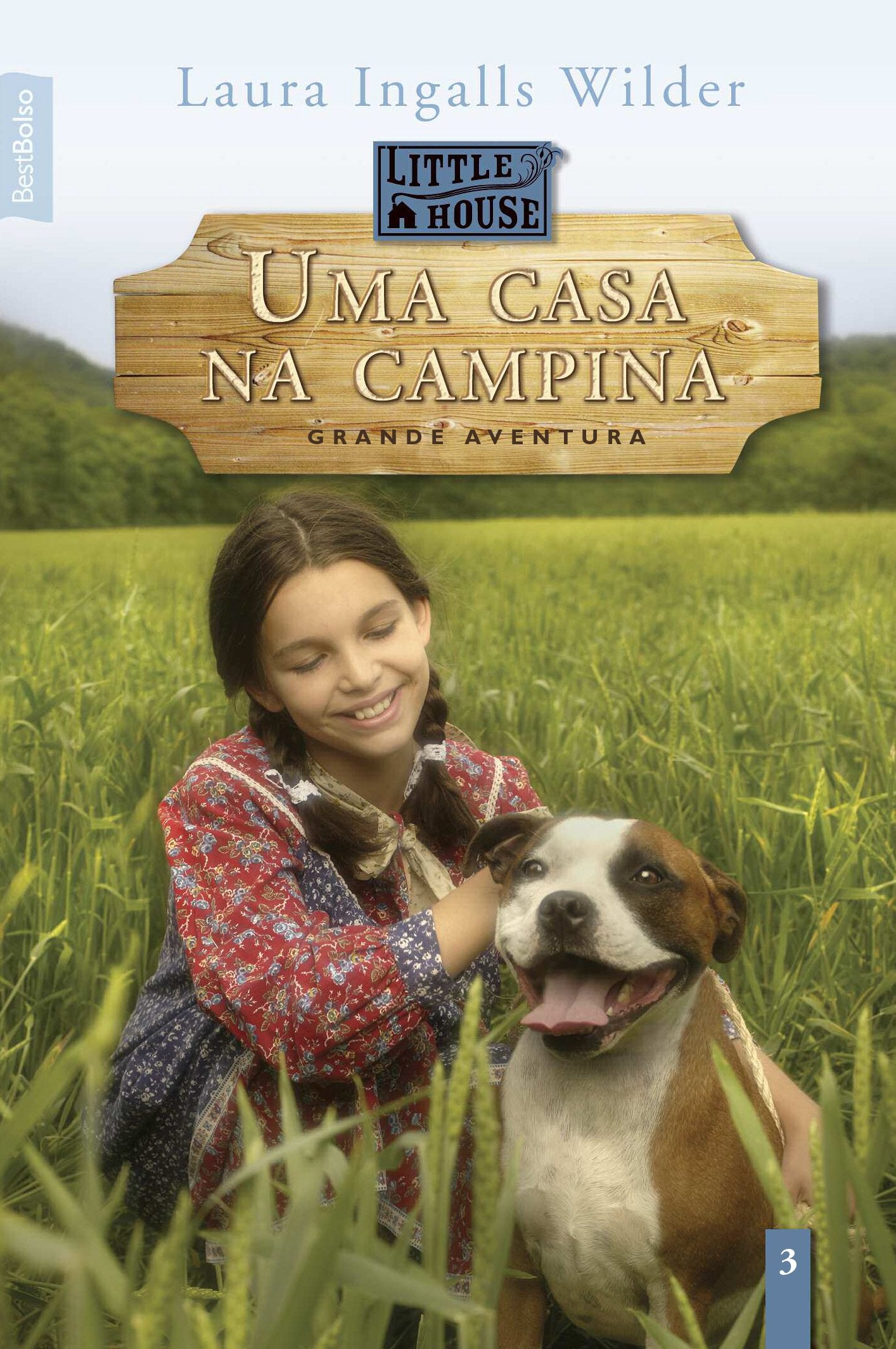 Uma Casa na Campina (Em Portuguese do Brasil) book