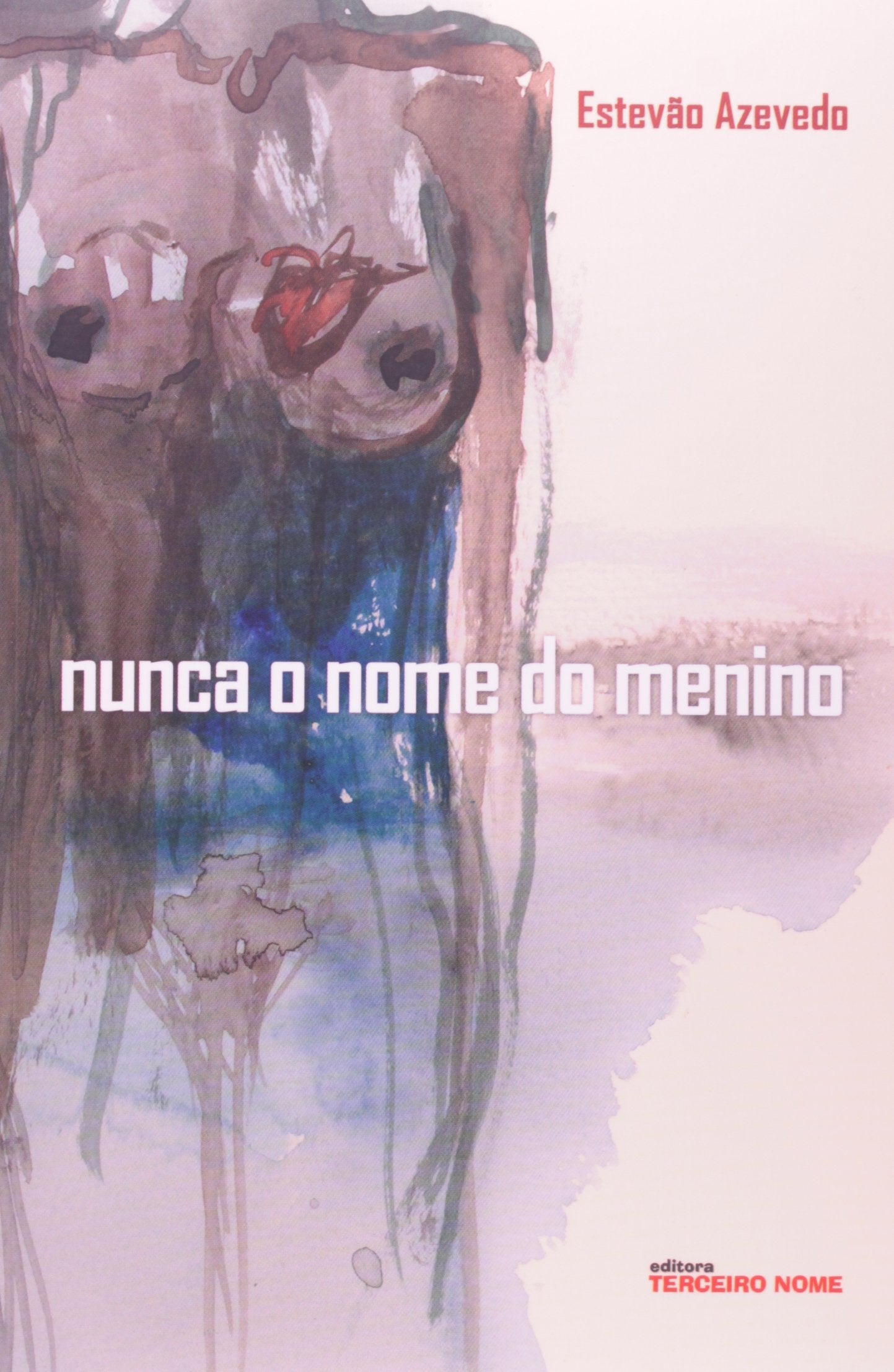 Nunca O Nome Do Menino (Em Portuguese do Brasil) book