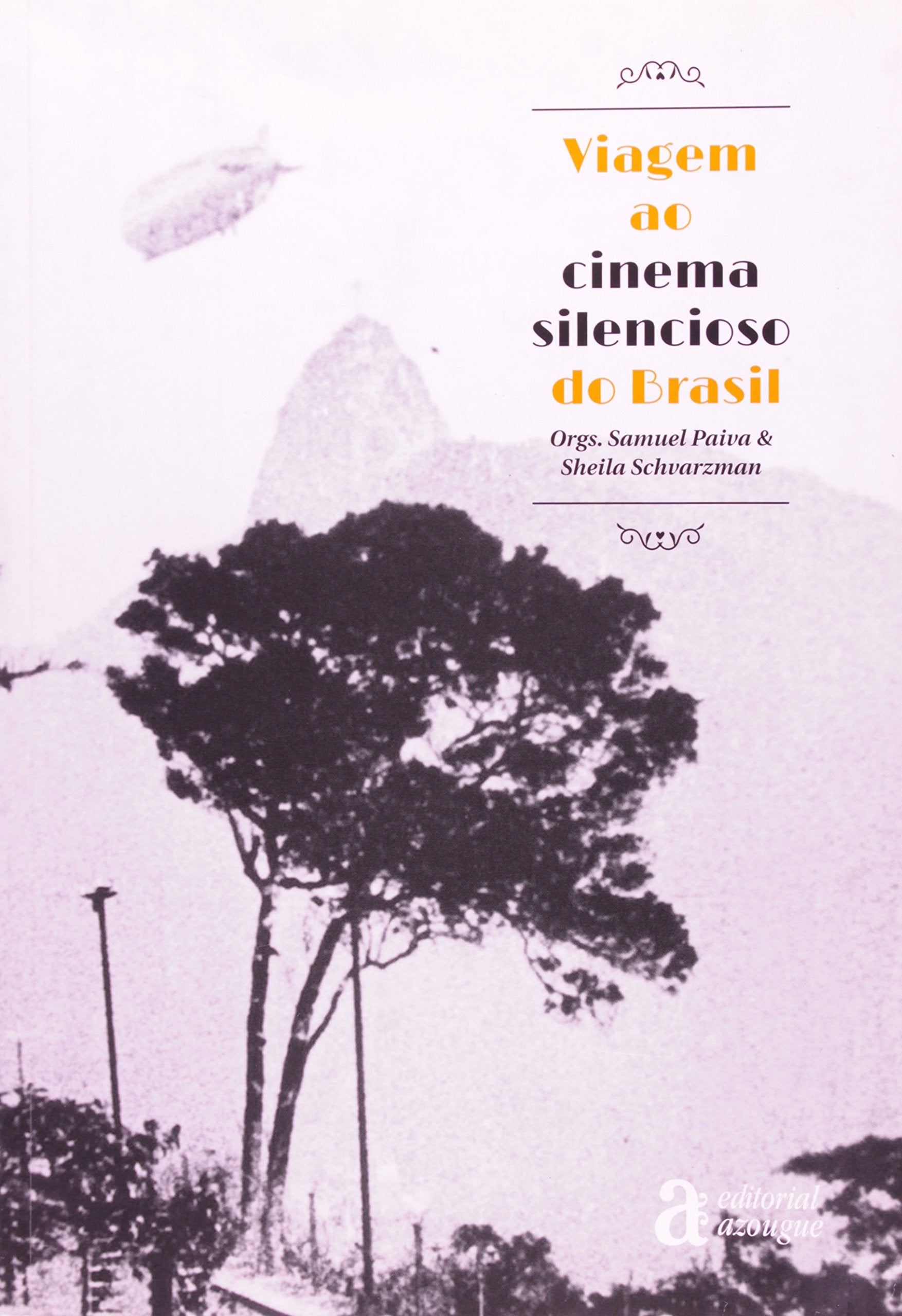 Viagem Ao Cinema Silencioso Do Brasil (Em Portuguese do Brasil) Books