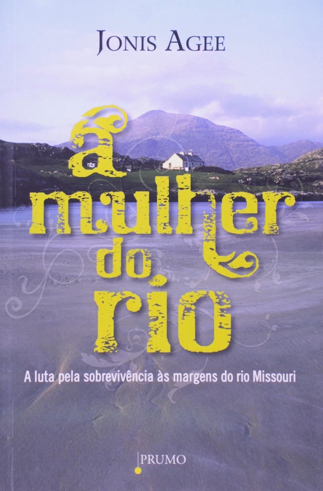 A Mulher Do Rio (Em Portuguese do Brasil) book