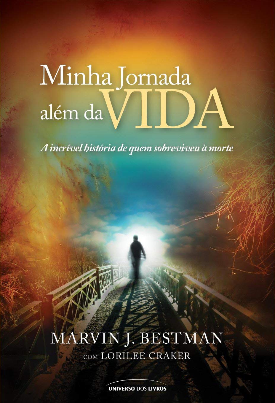 Minha Jornada Além Da Vida (Em Portuguese do Brasil) Books